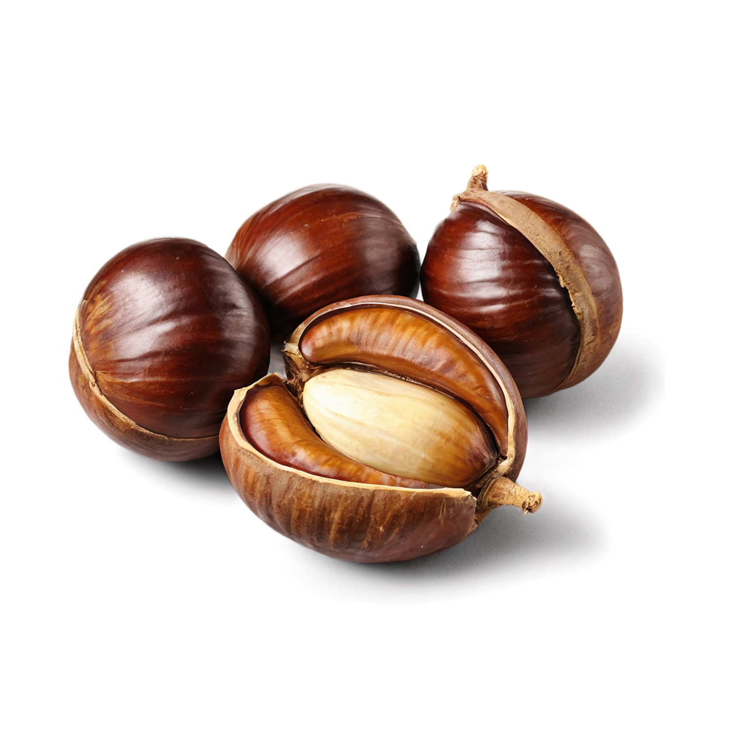 chestnuts nuts isolated on transparent background, #7475