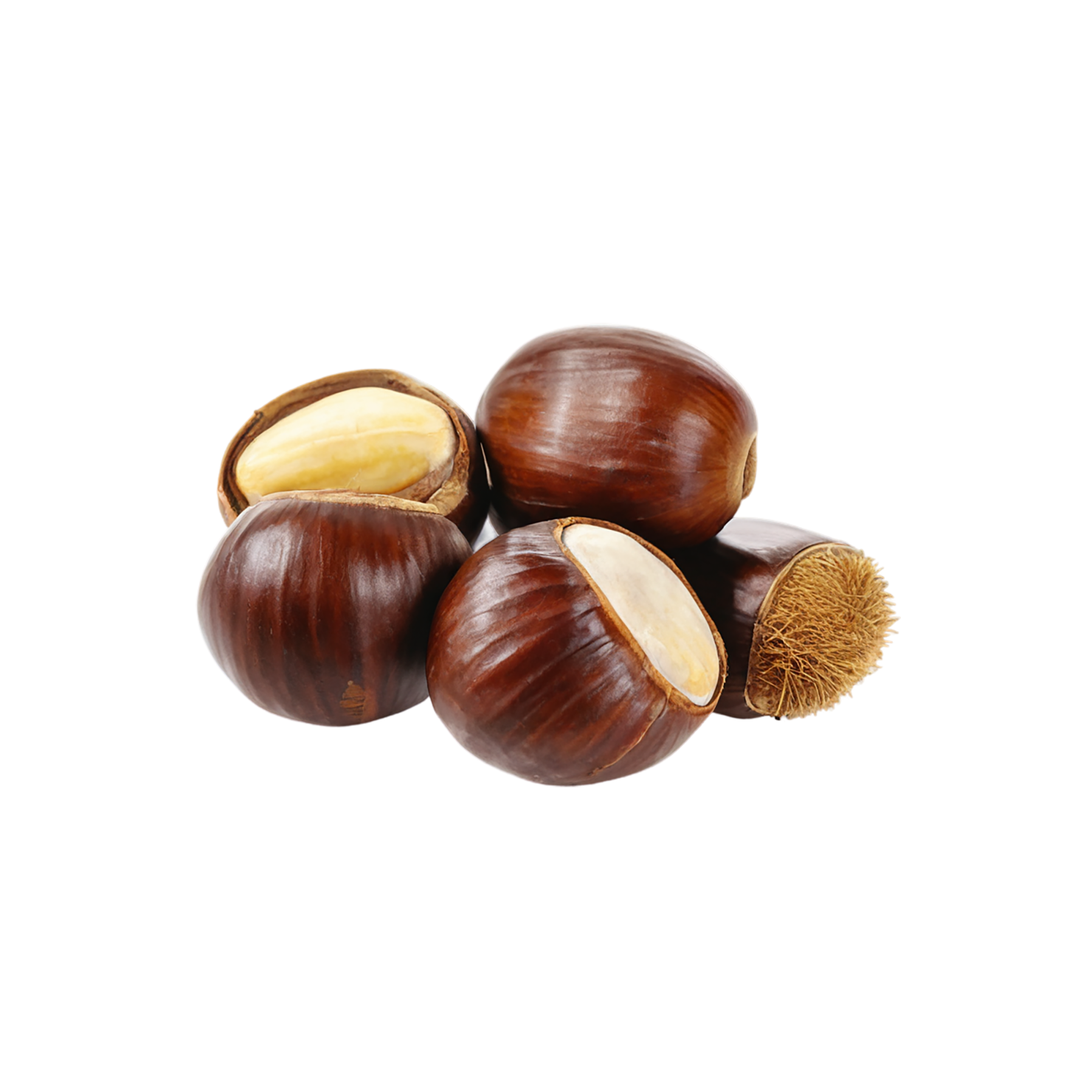 chestnuts nuts isolated on transparent background, #7476