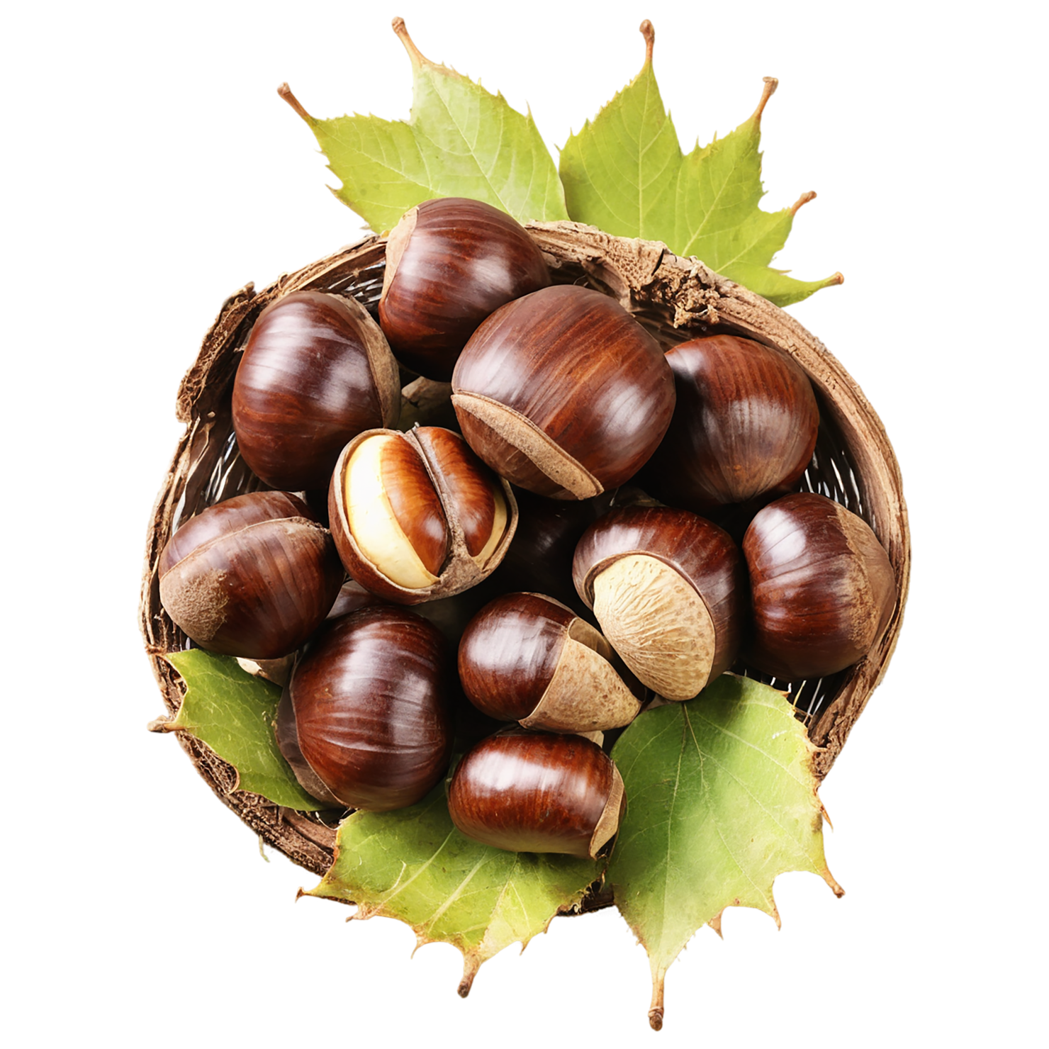 chestnuts nuts isolated on transparent background, #7480