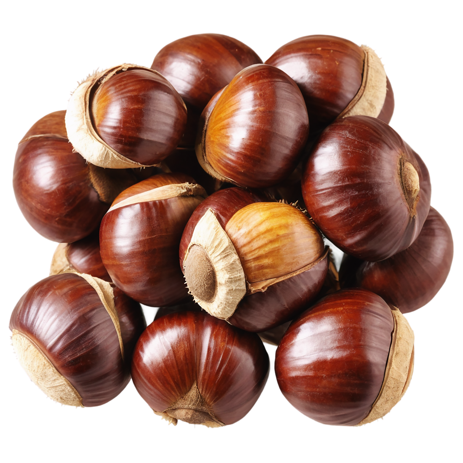 chestnuts nuts isolated on transparent background, #7487