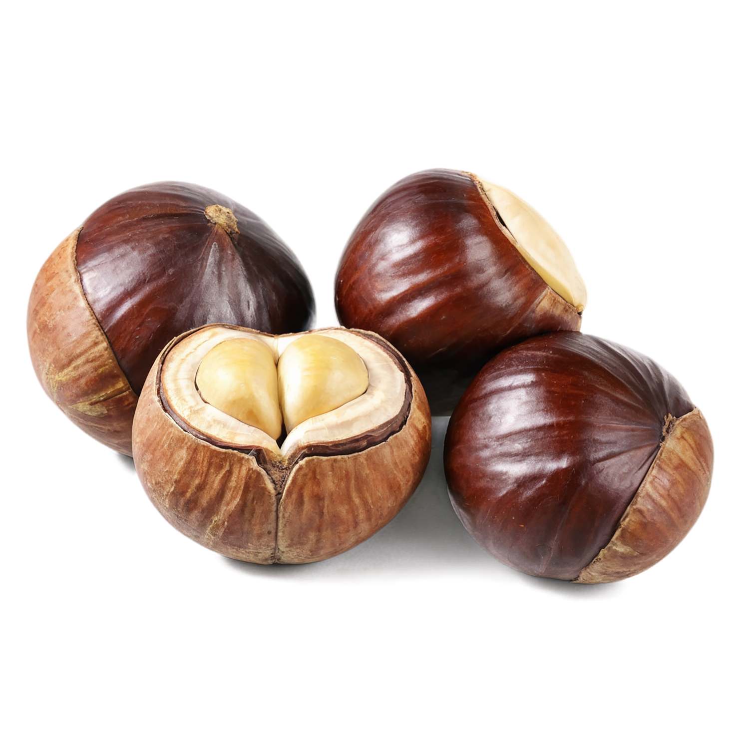chestnuts nuts isolated on transparent background, #7488