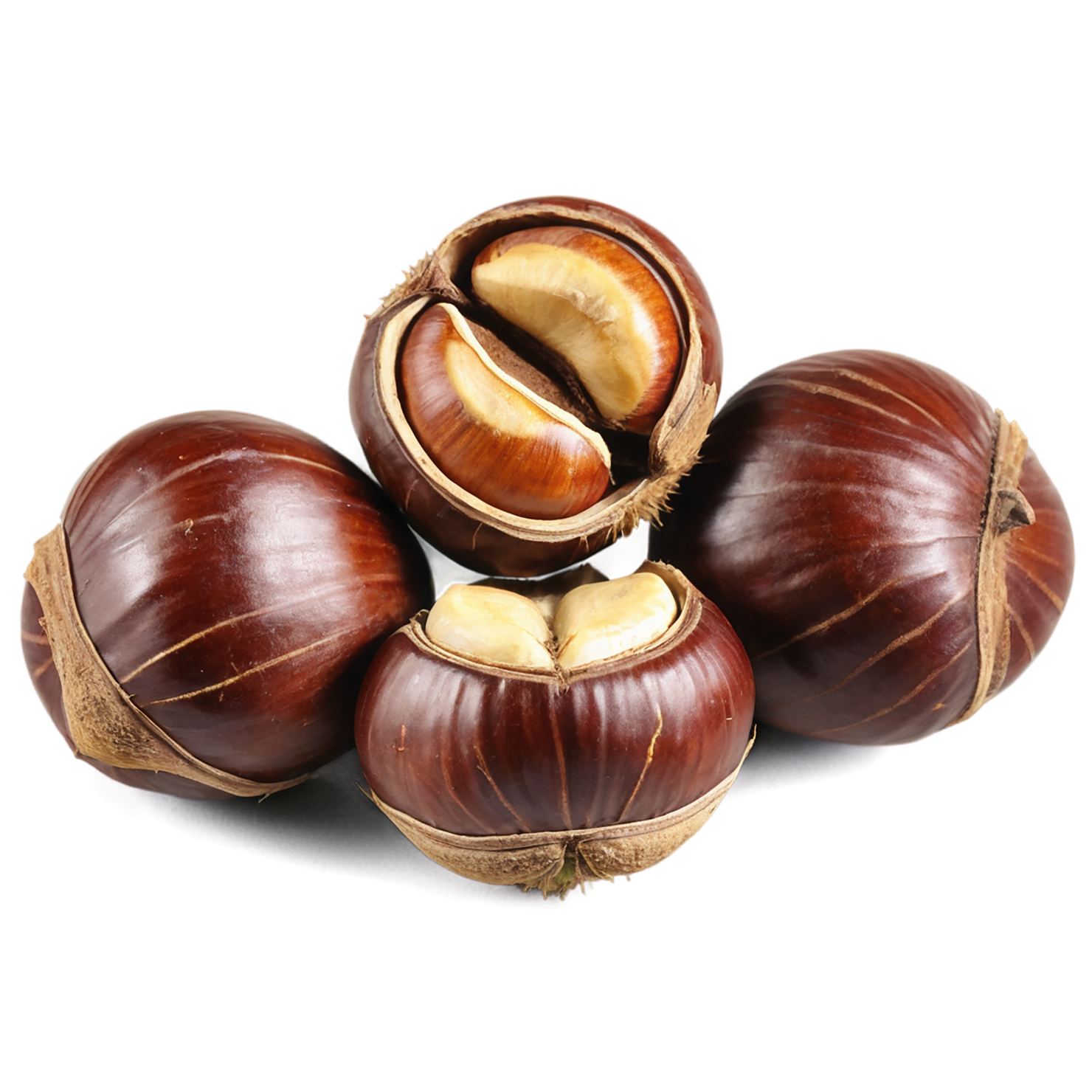 chestnuts nuts isolated on transparent background, #7491