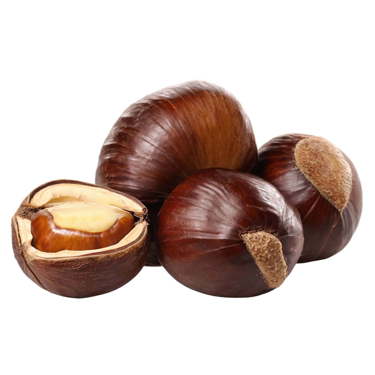 chestnuts nuts isolated on transparent background, #7493