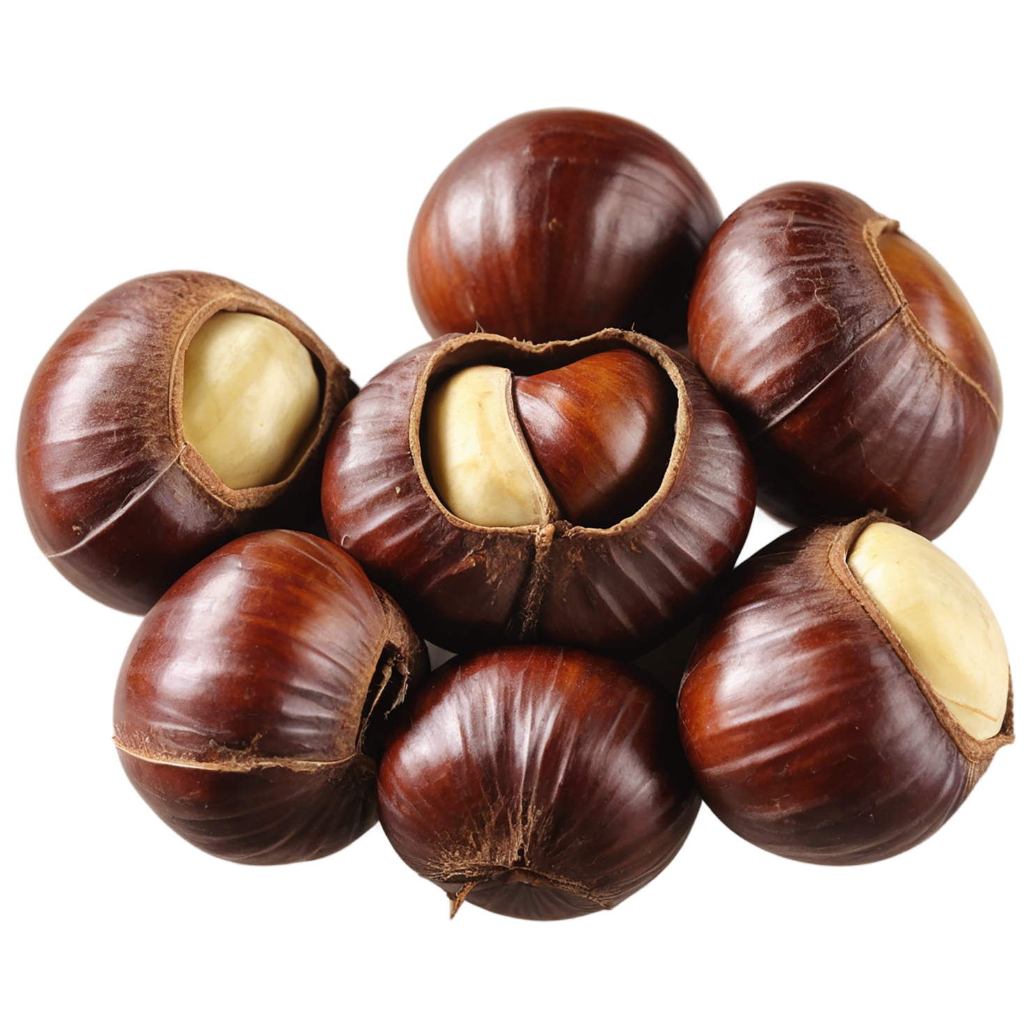 chestnuts nuts isolated on transparent background, #7494