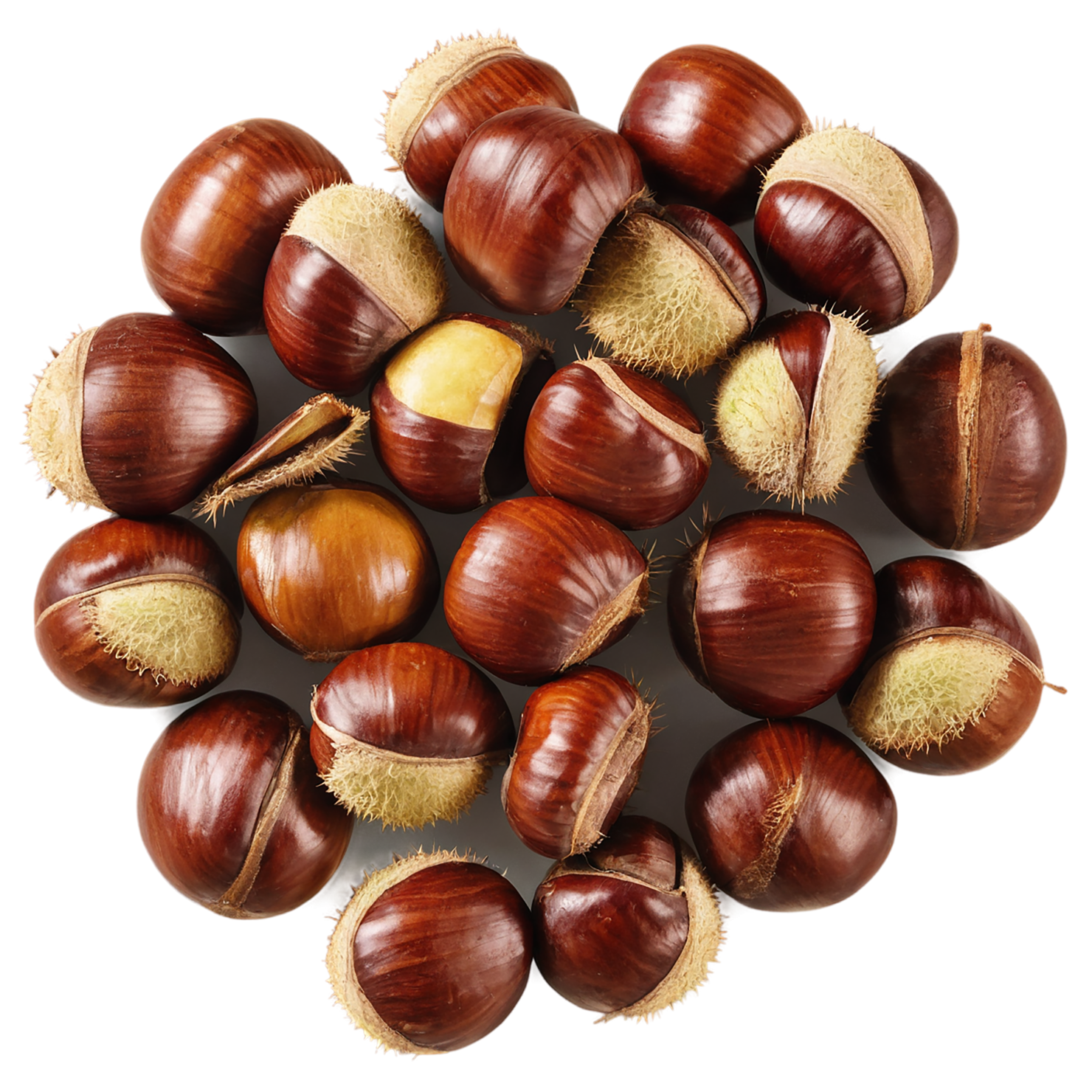 chestnuts nuts isolated on transparent background, #7495