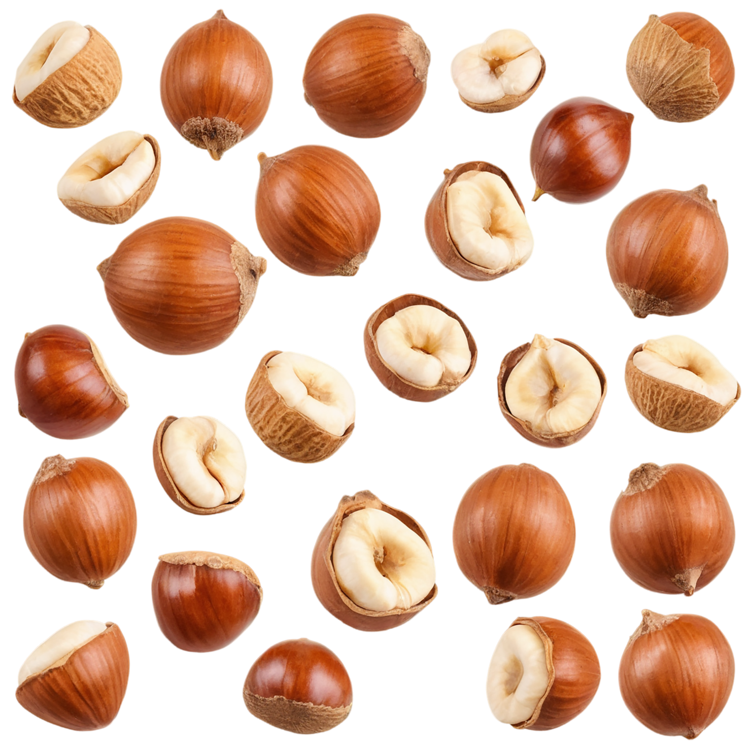 Hazelnuts nuts isolated on transparent background, #7497