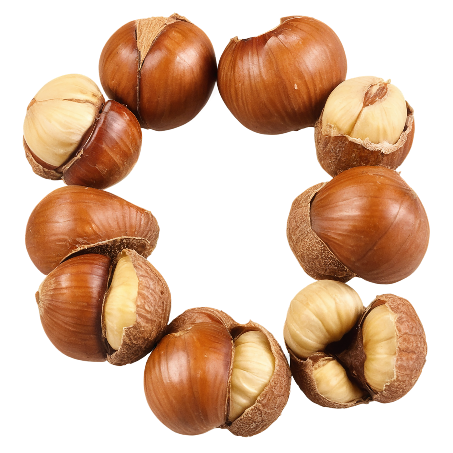Hazelnuts nuts isolated on transparent background, #7500