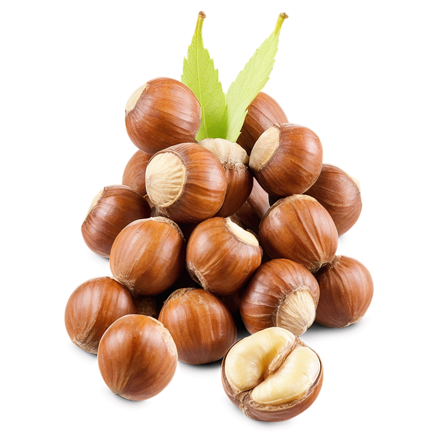 Hazelnuts nuts isolated on transparent background, #7501