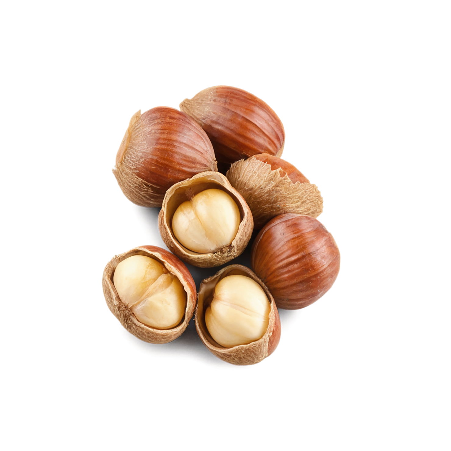 Hazelnuts nuts isolated on transparent background, #7503