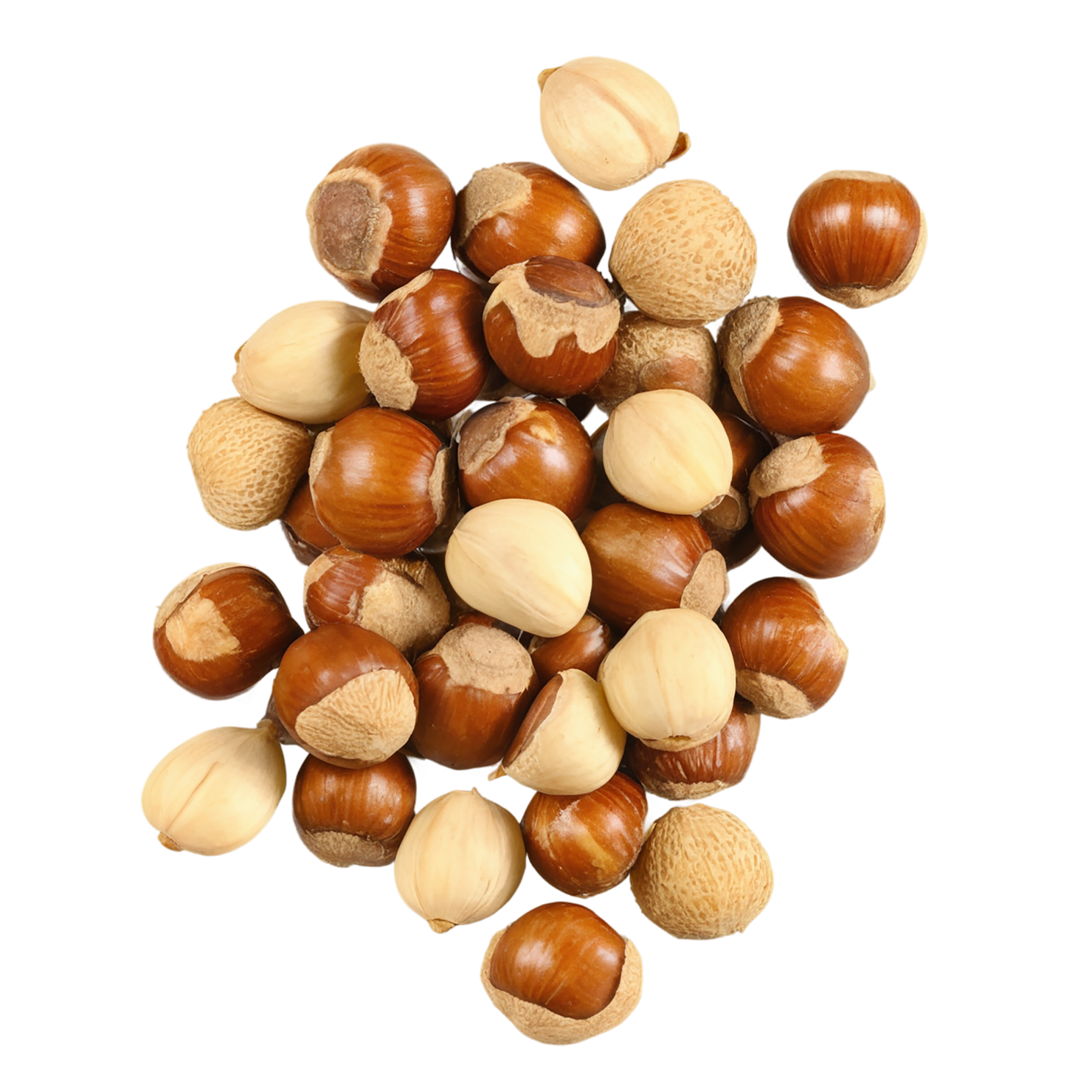 Hazelnuts nuts isolated on transparent background, #7506