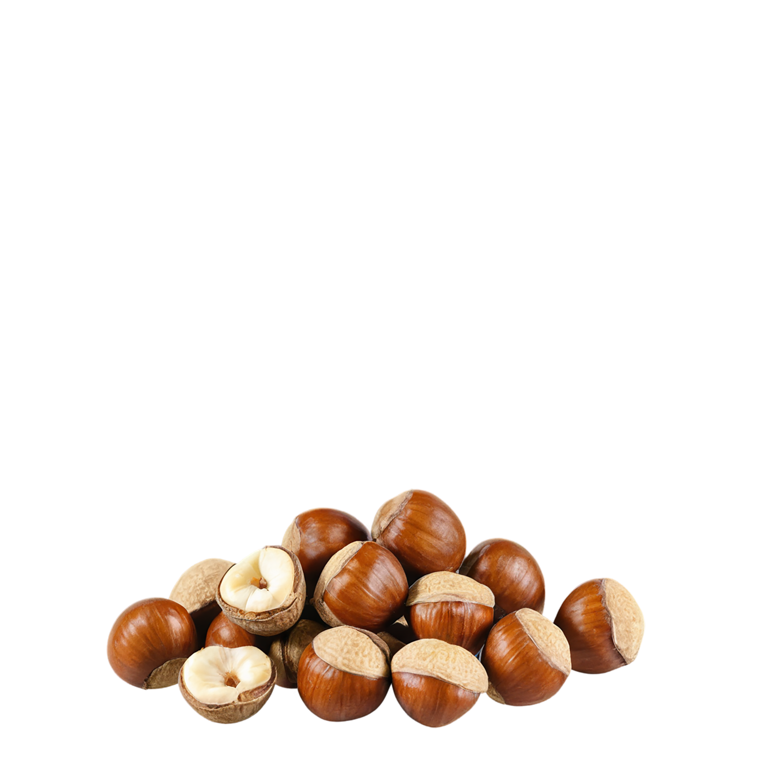Hazelnuts nuts isolated on transparent background, #7507