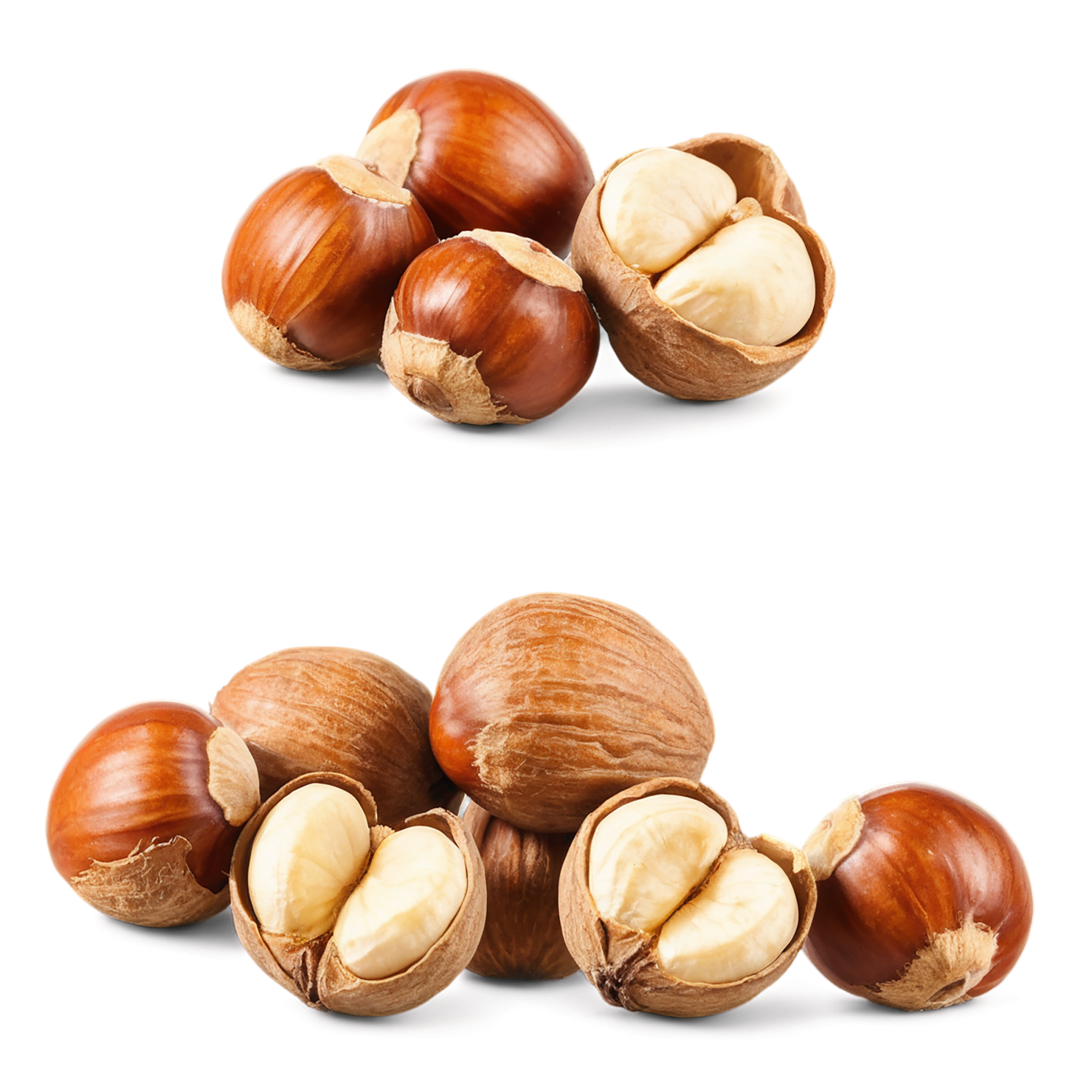 Hazelnuts nuts isolated on transparent background, #7510