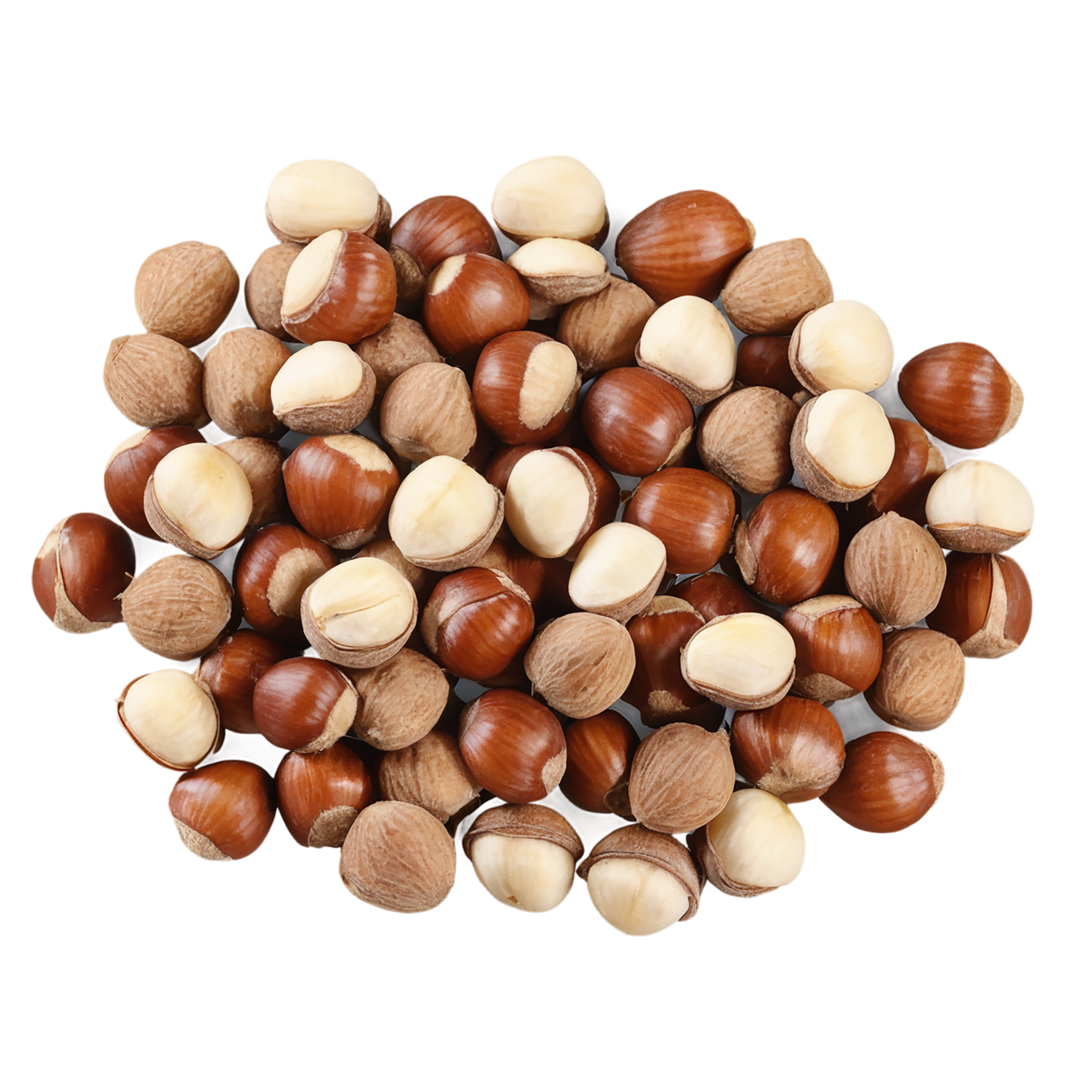 Hazelnuts nuts isolated on transparent background, #7512