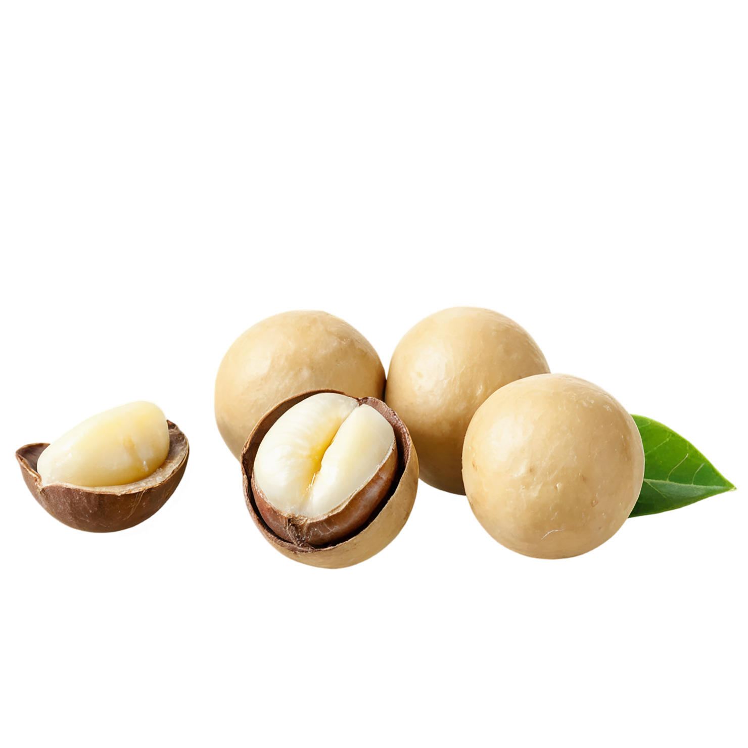 Macadamia nuts isolated on transparent background, #7516