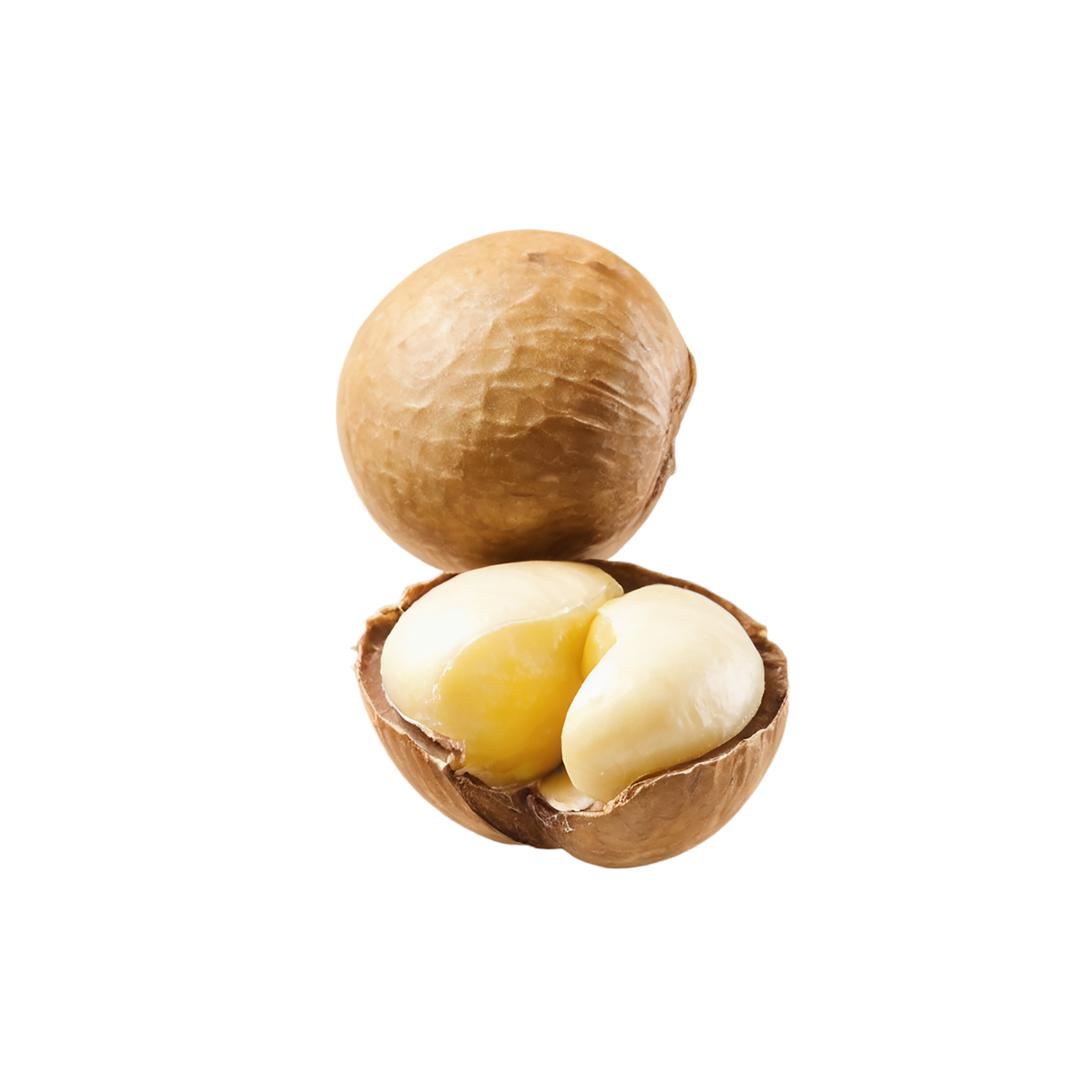 Macadamia nuts isolated on transparent background, #7518