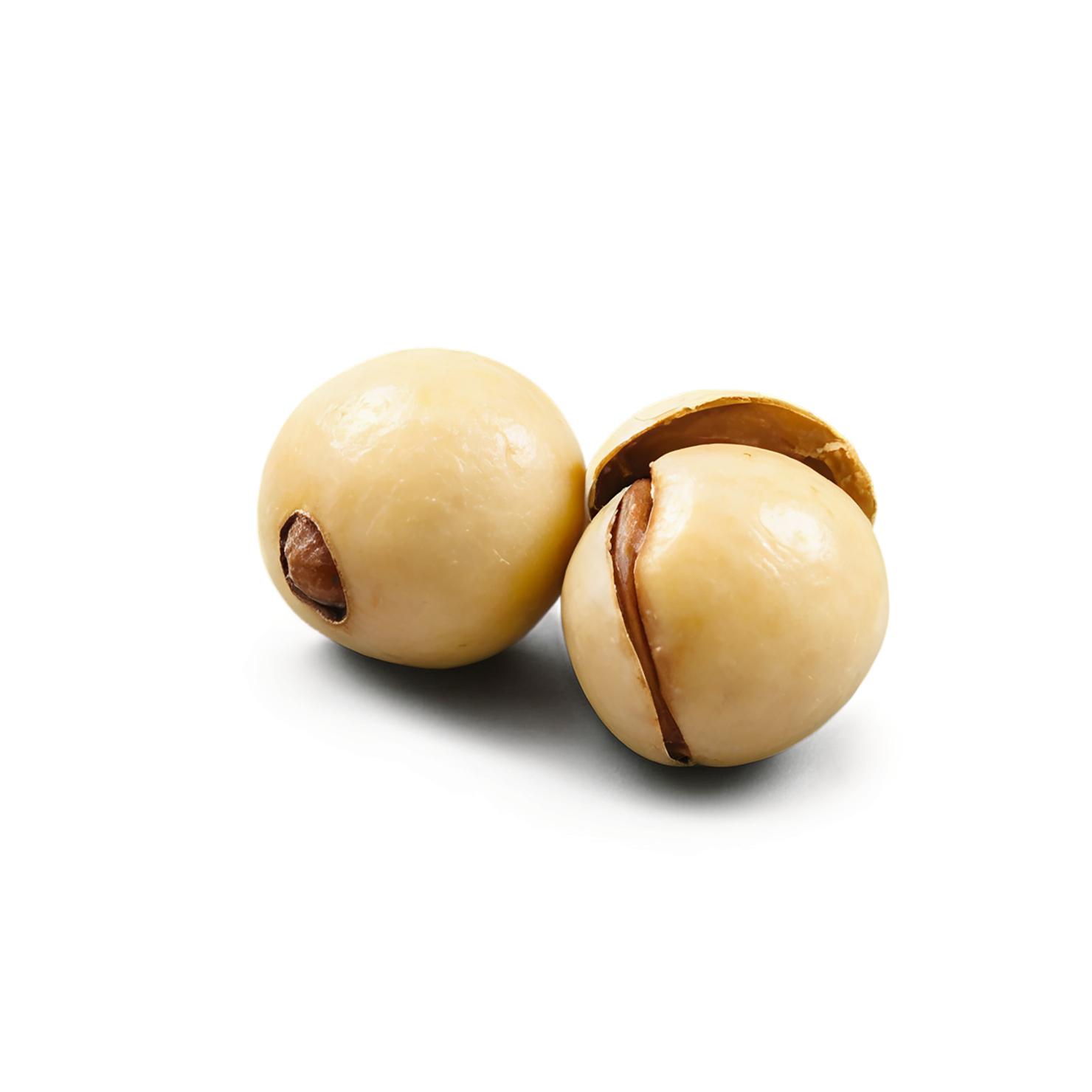 Macadamia nuts isolated on transparent background, #7519