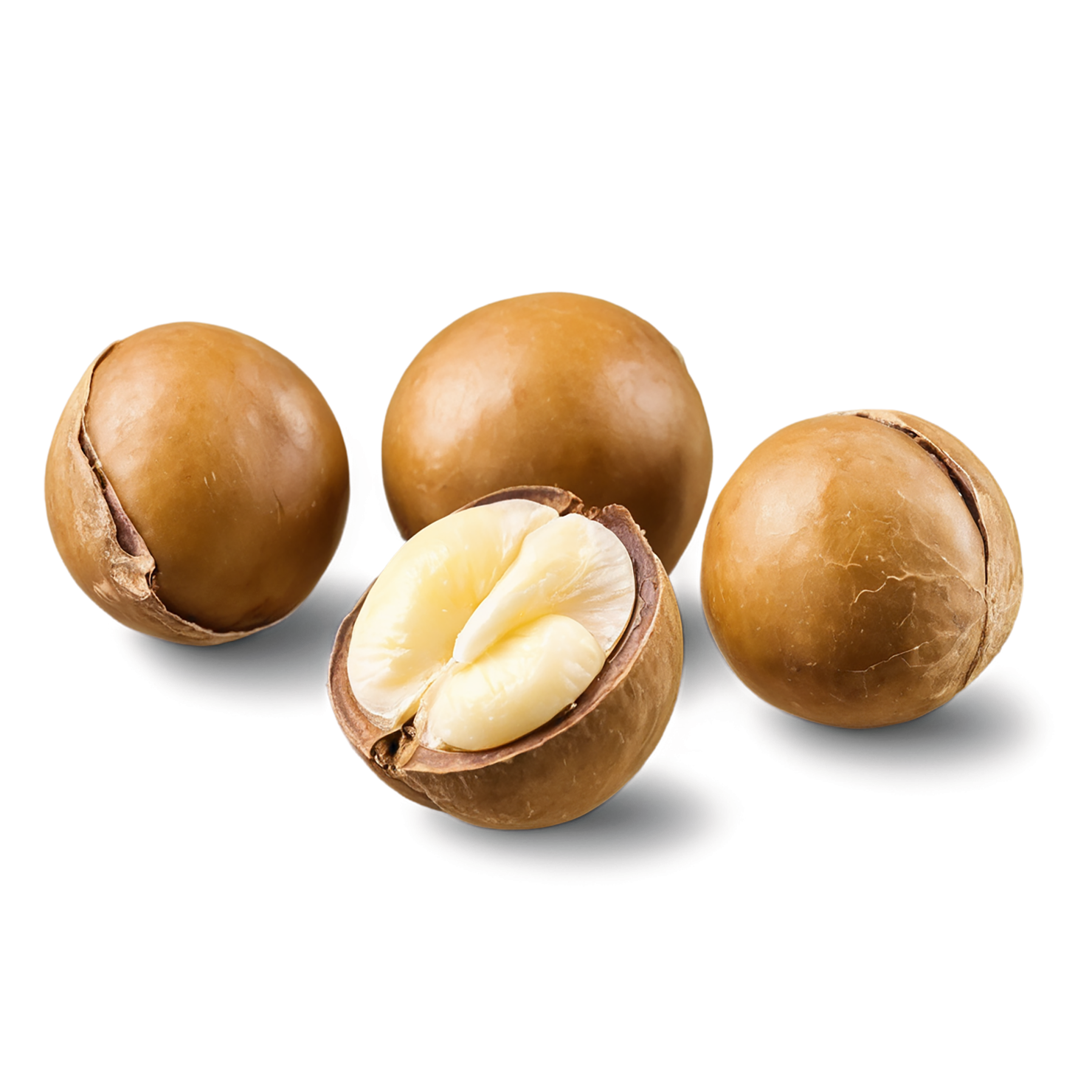 Macadamia nuts isolated on transparent background, #7522