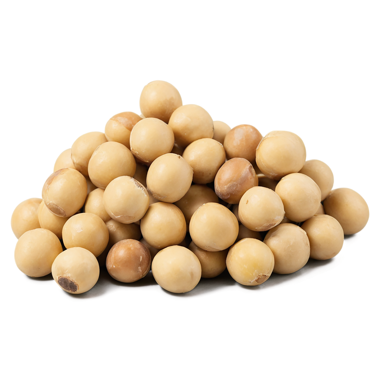 Macadamia nuts isolated on transparent background, #7526