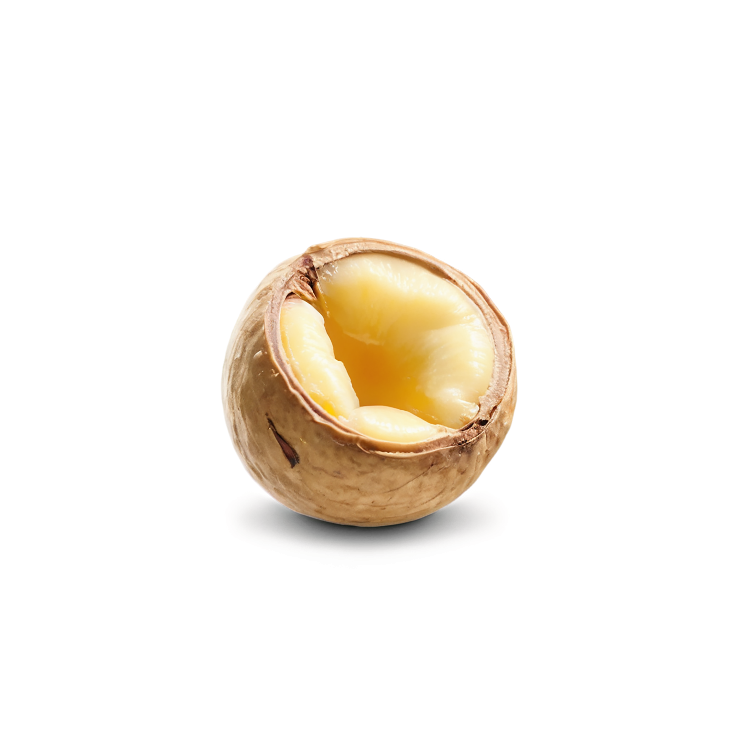 Macadamia nuts isolated on transparent background, #7527