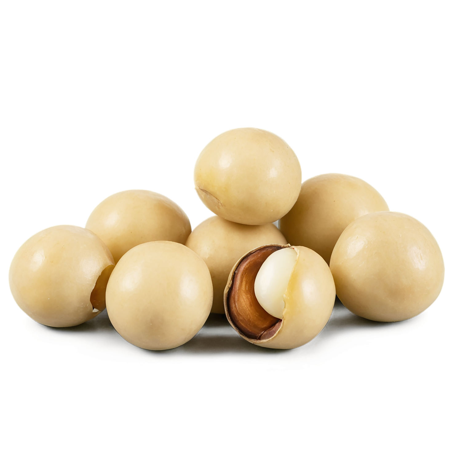 Macadamia nuts isolated on transparent background, #7530