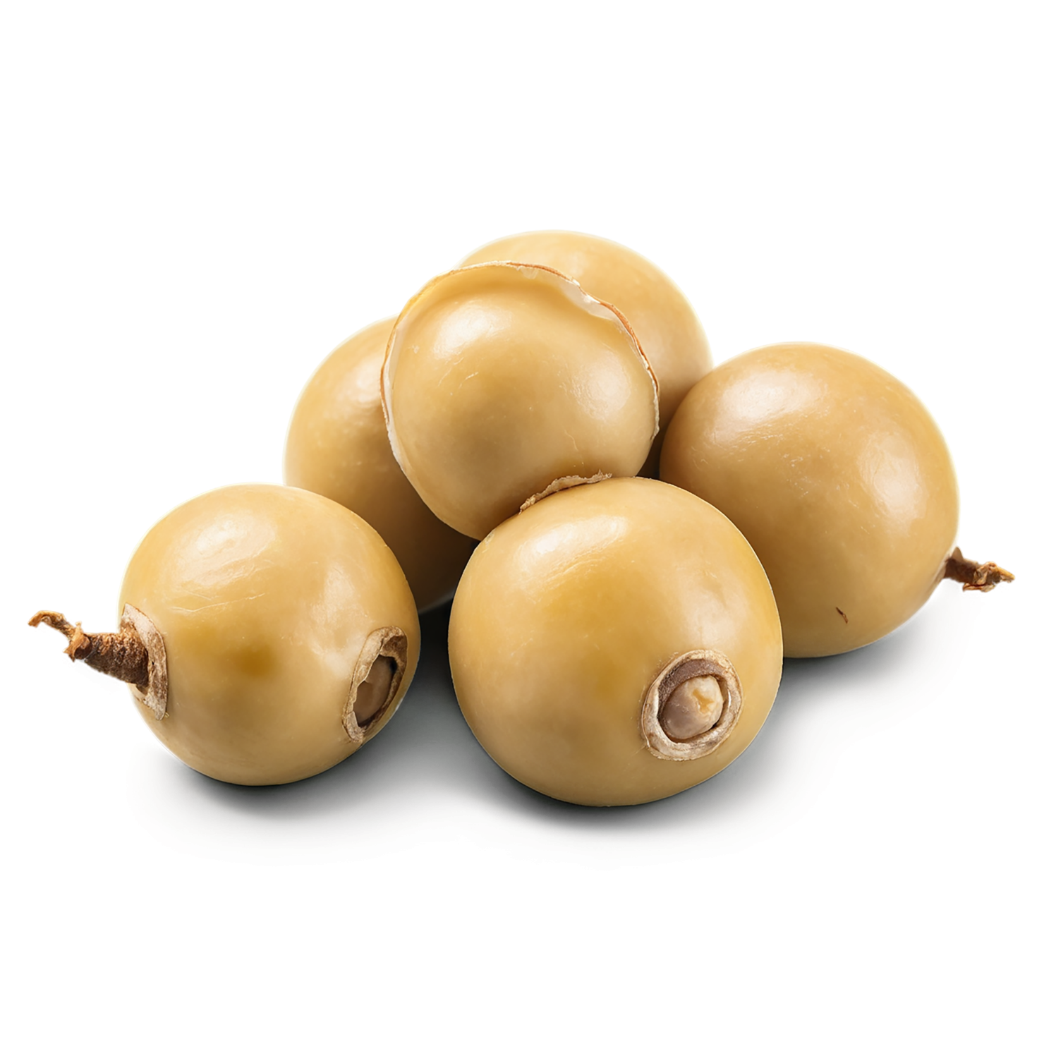 Macadamia nuts isolated on transparent background, #7532