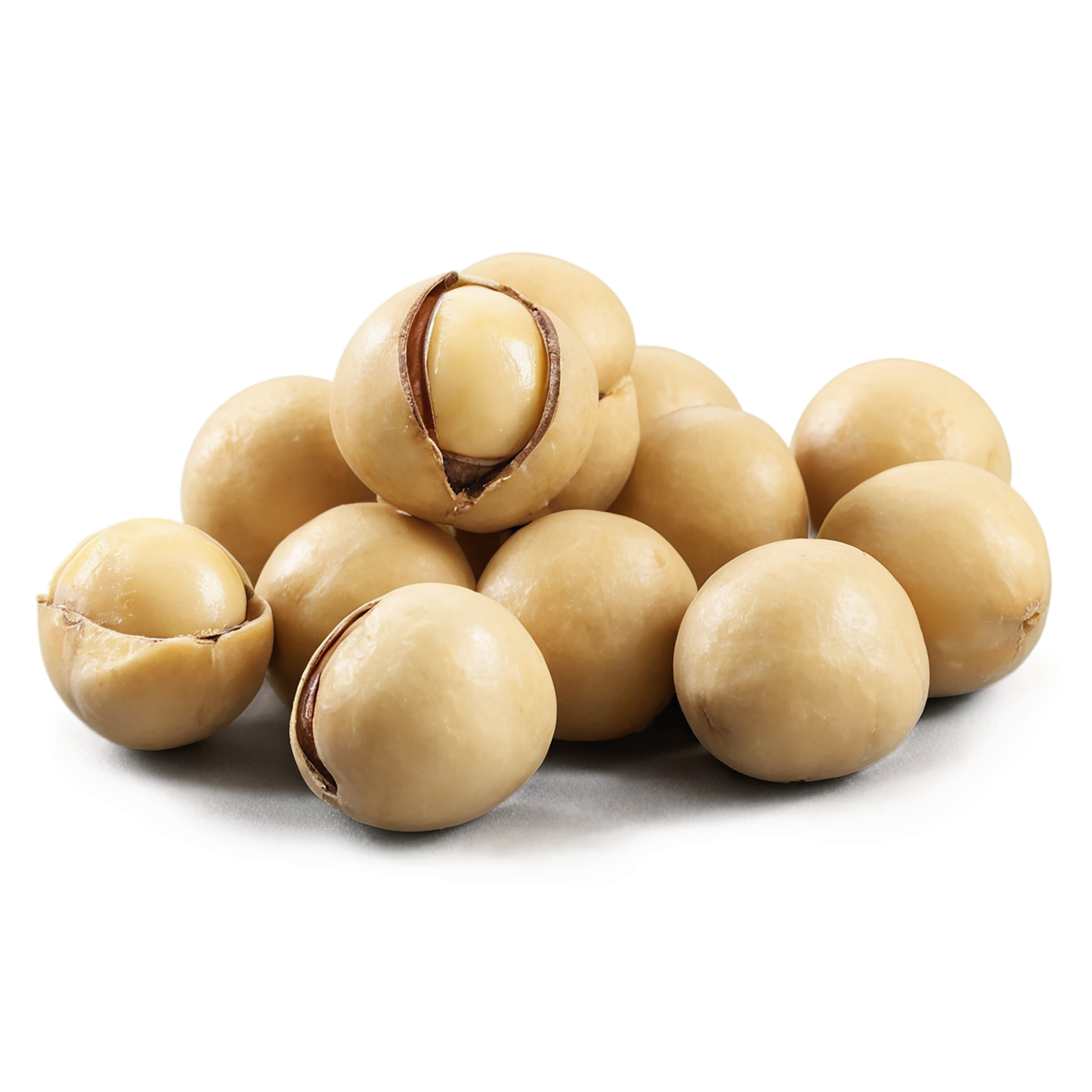 Macadamia nuts isolated on transparent background, #7534