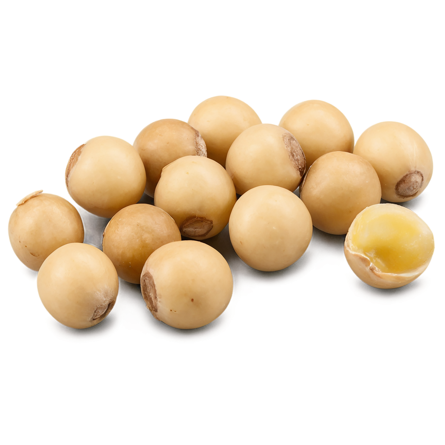Macadamia nuts isolated on transparent background, #7535