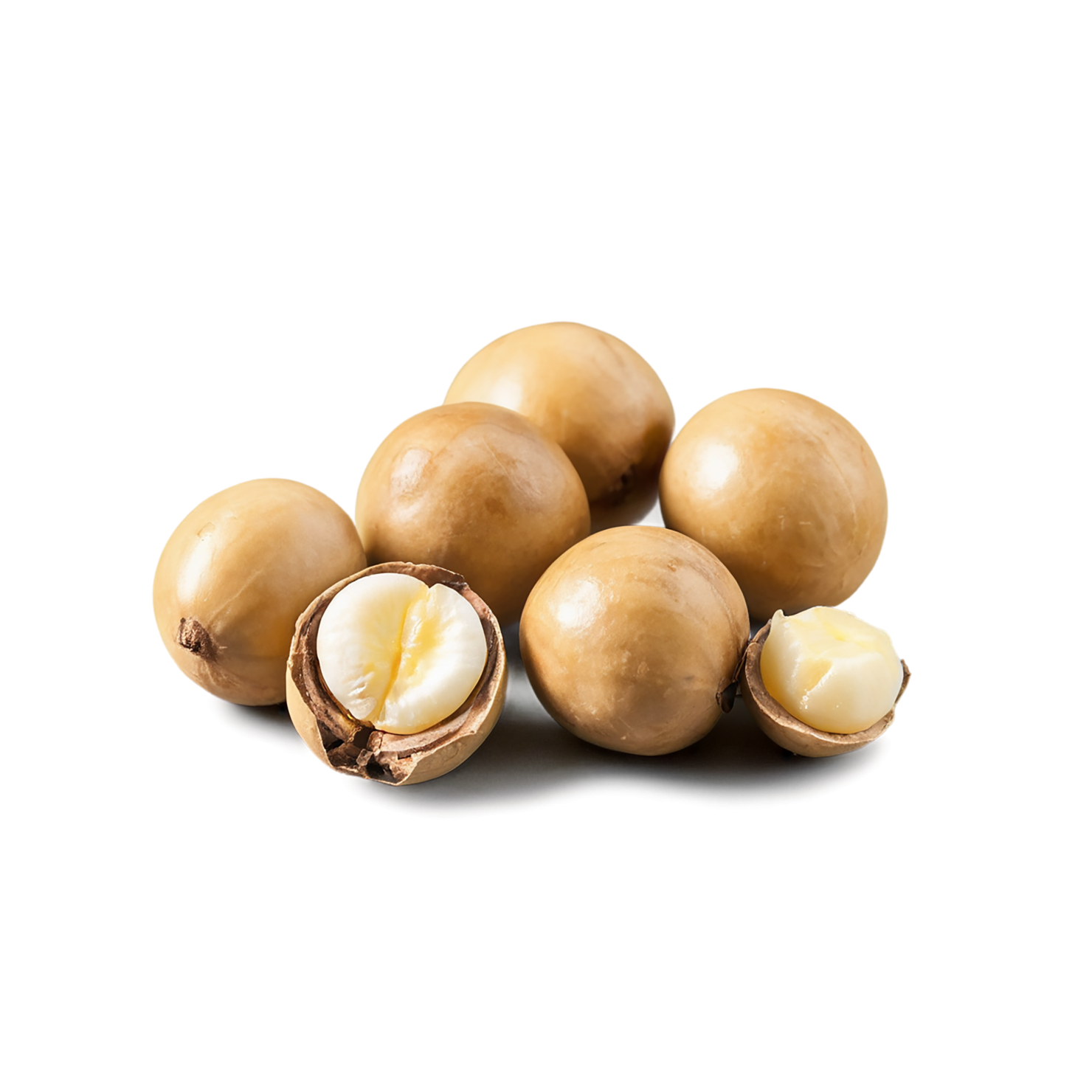 Macadamia nuts isolated on transparent background, #7537