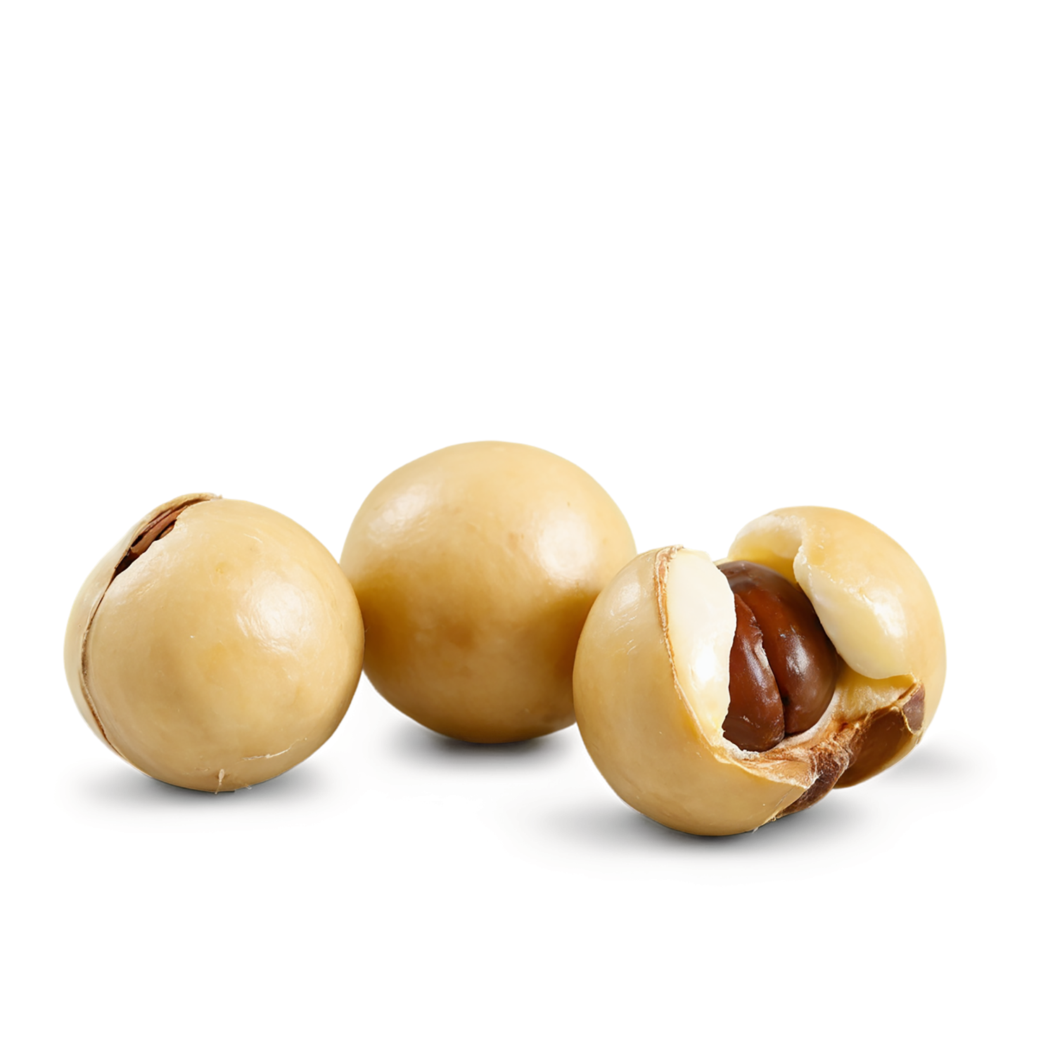 Macadamia nuts isolated on transparent background, #7538