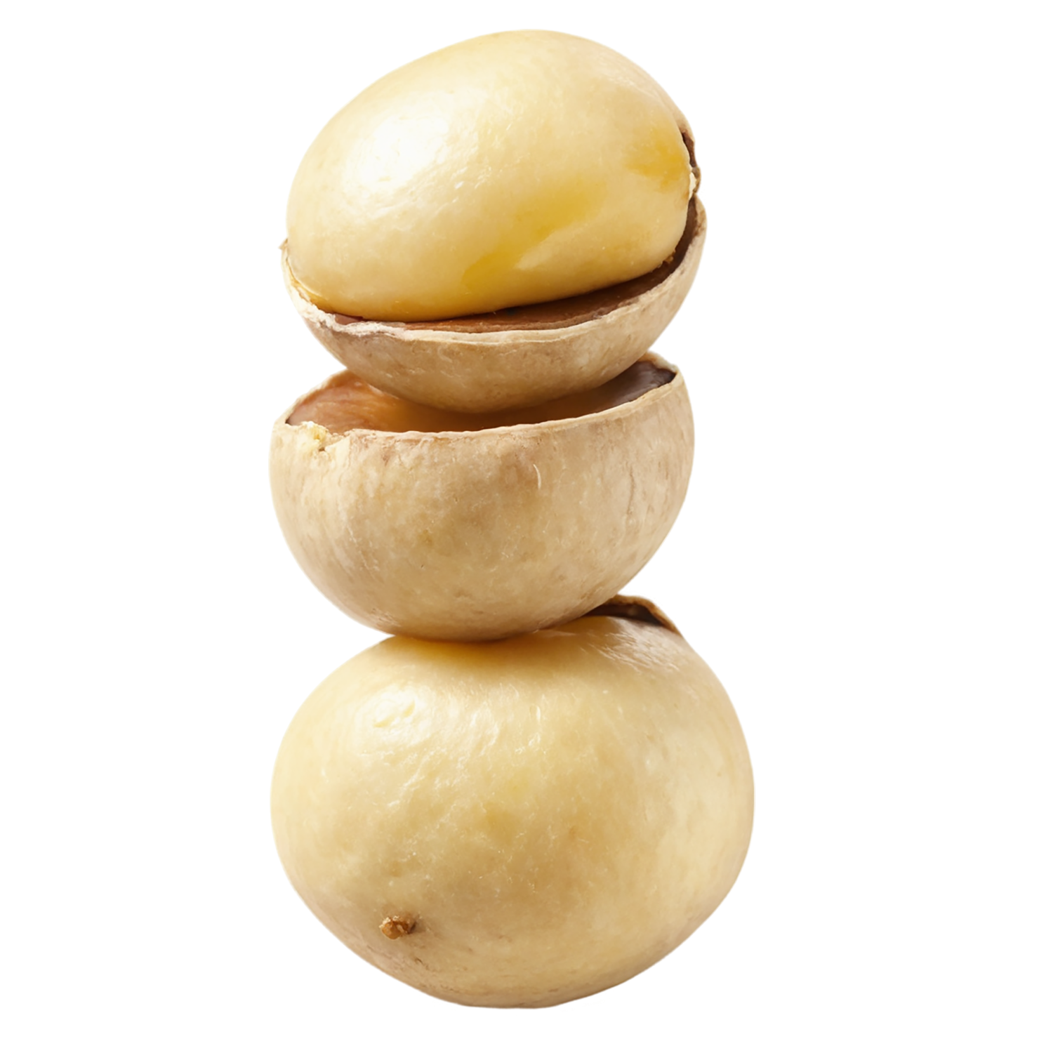 Macadamia nuts isolated on transparent background, #7539