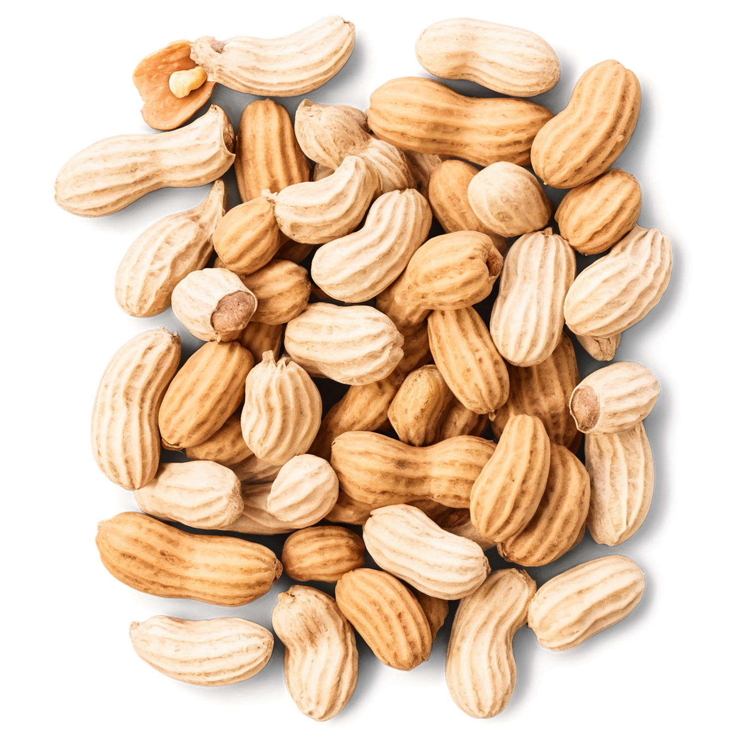 peanuts nuts isolated on transparent background, #7540