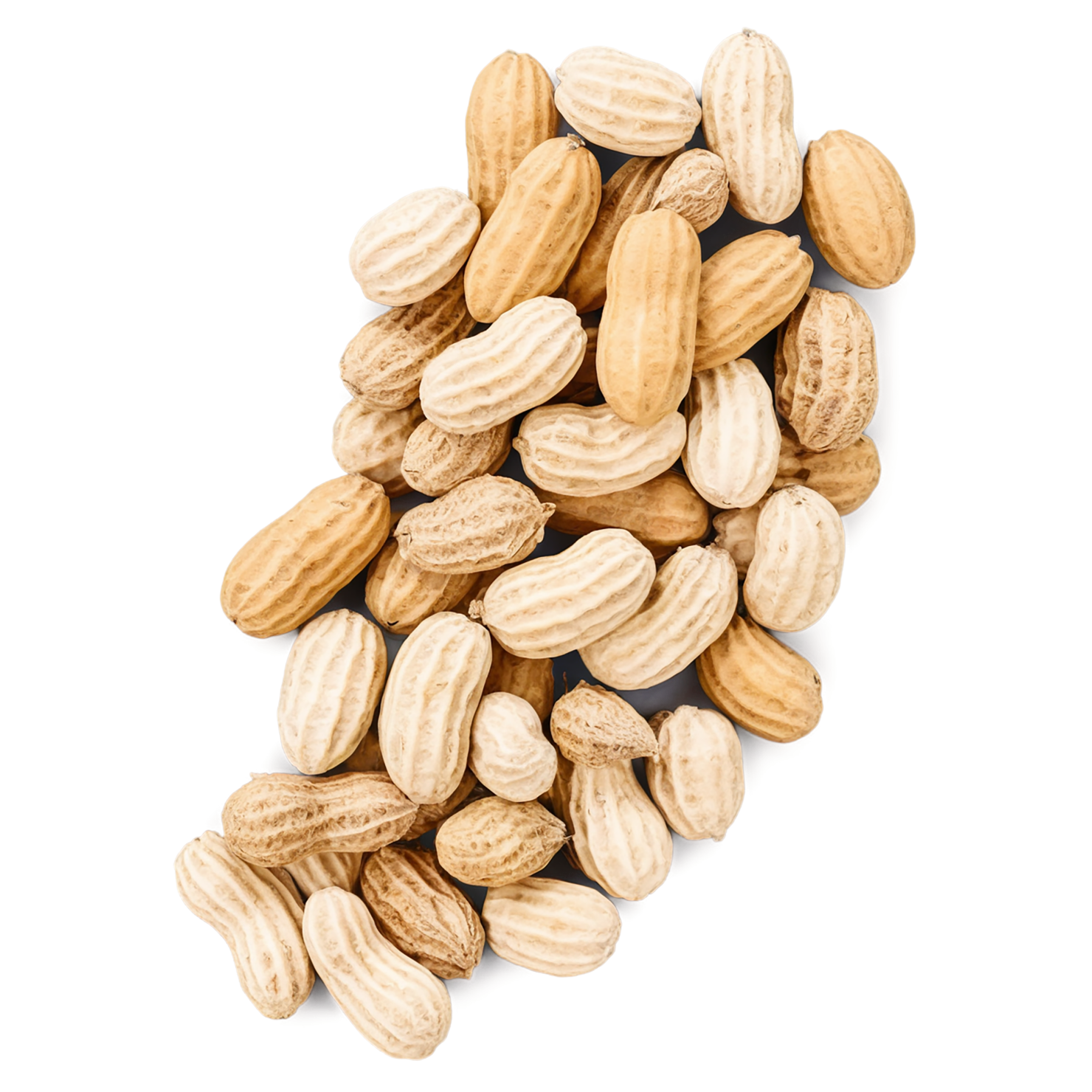 peanuts nuts isolated on transparent background, #7545