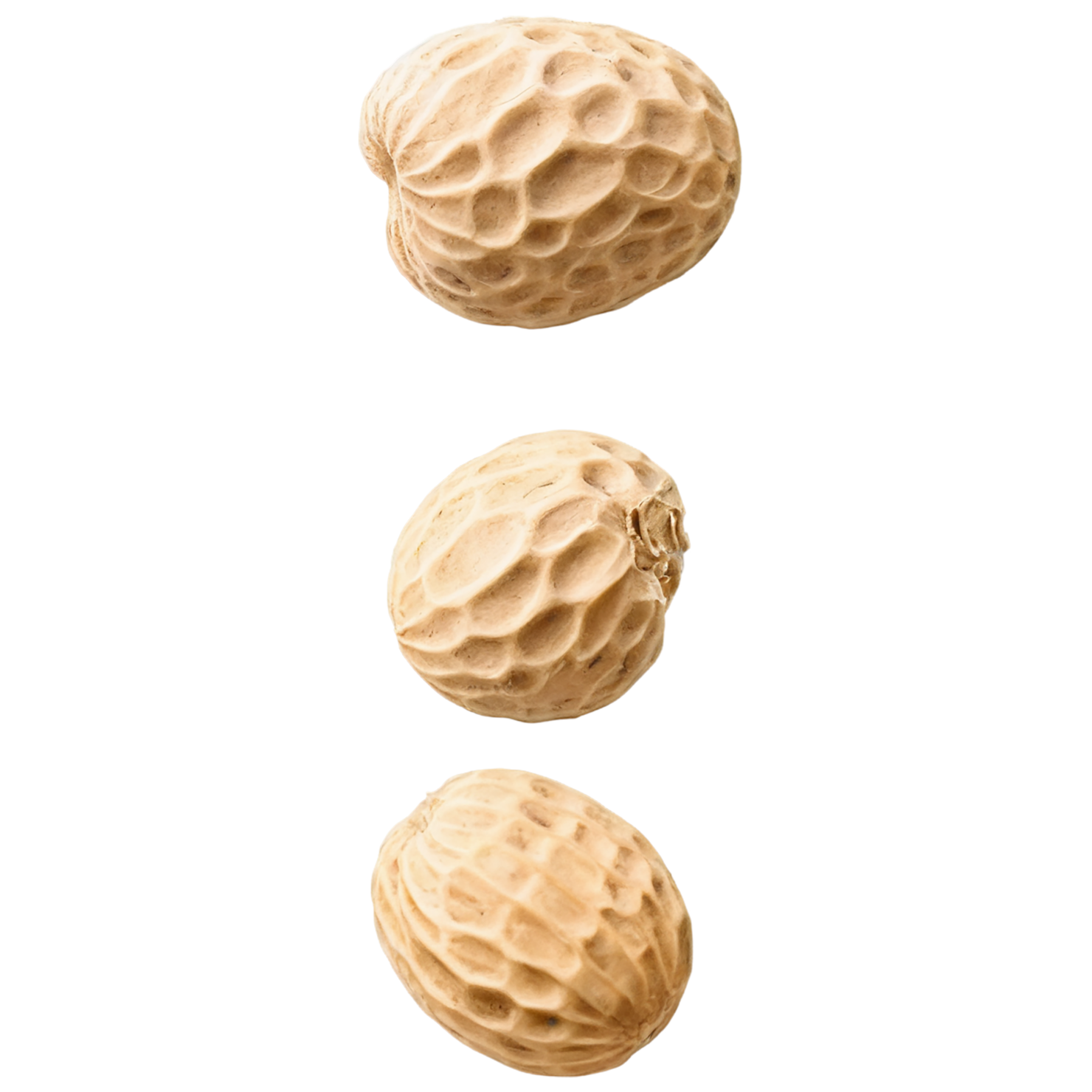 peanuts nuts isolated on transparent background, #7546