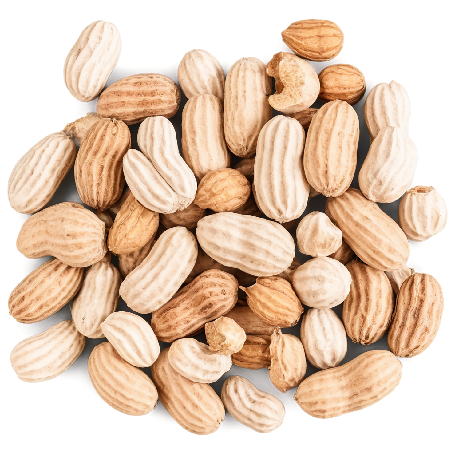 peanuts nuts isolated on transparent background, #7550