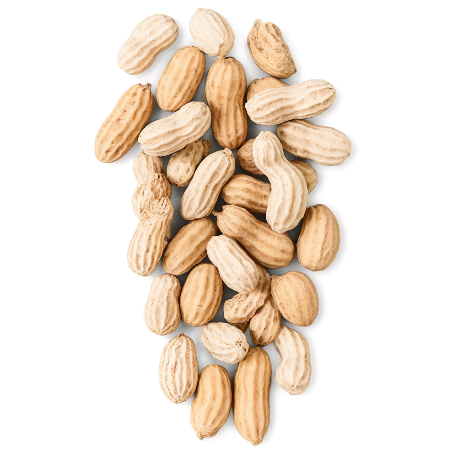 peanuts nuts isolated on transparent background, #7553
