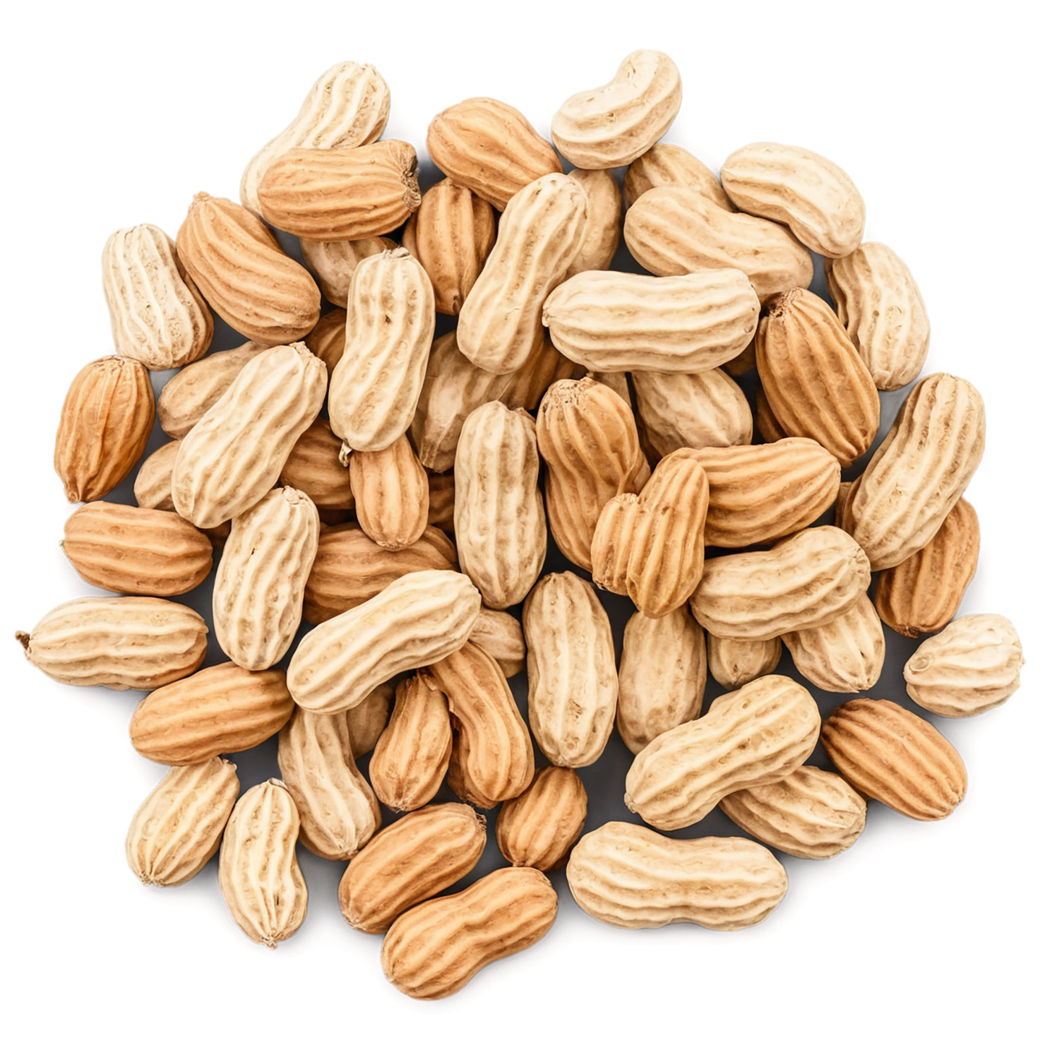 peanuts nuts isolated on transparent background, #7557
