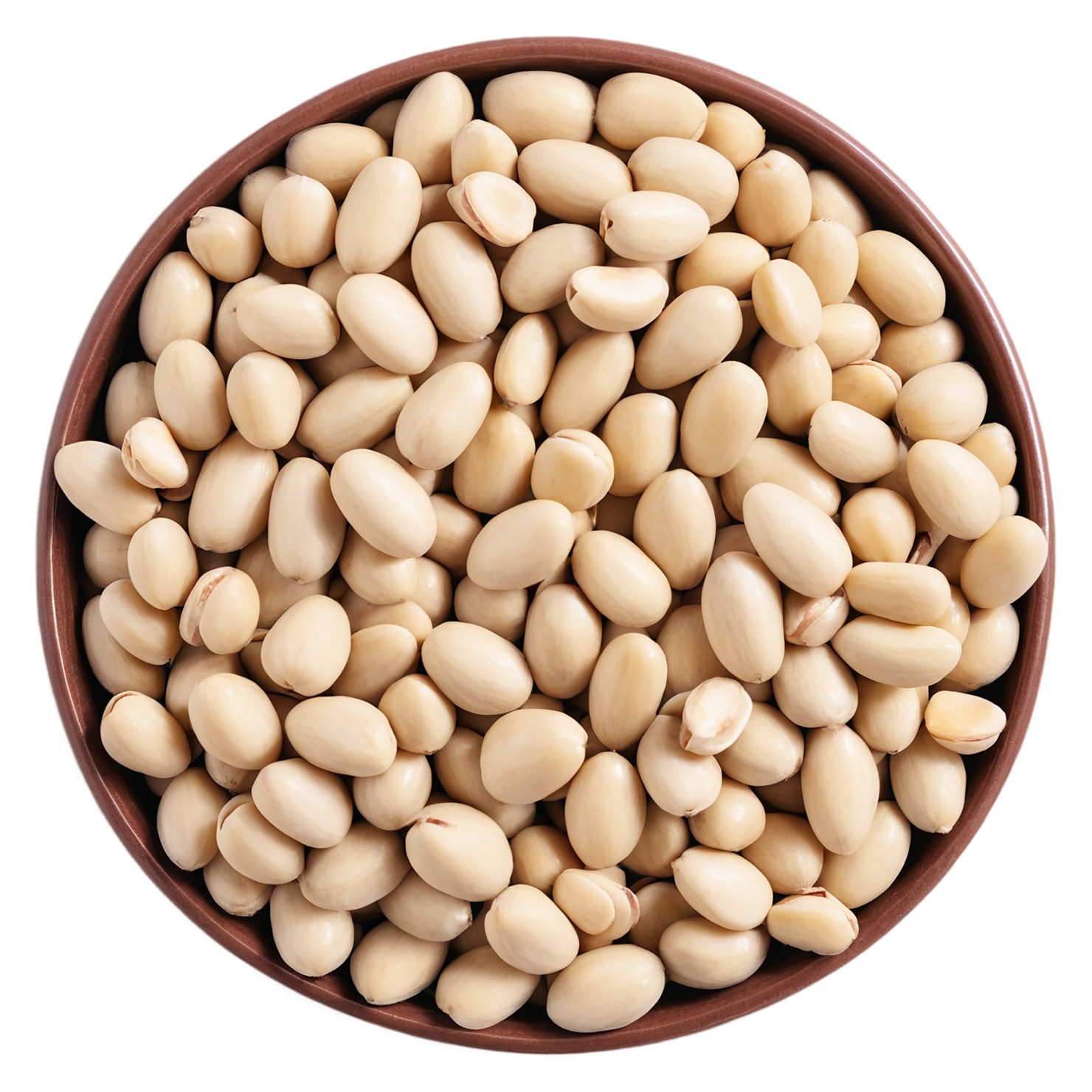 Pine nuts isolated on transparent background, #7560