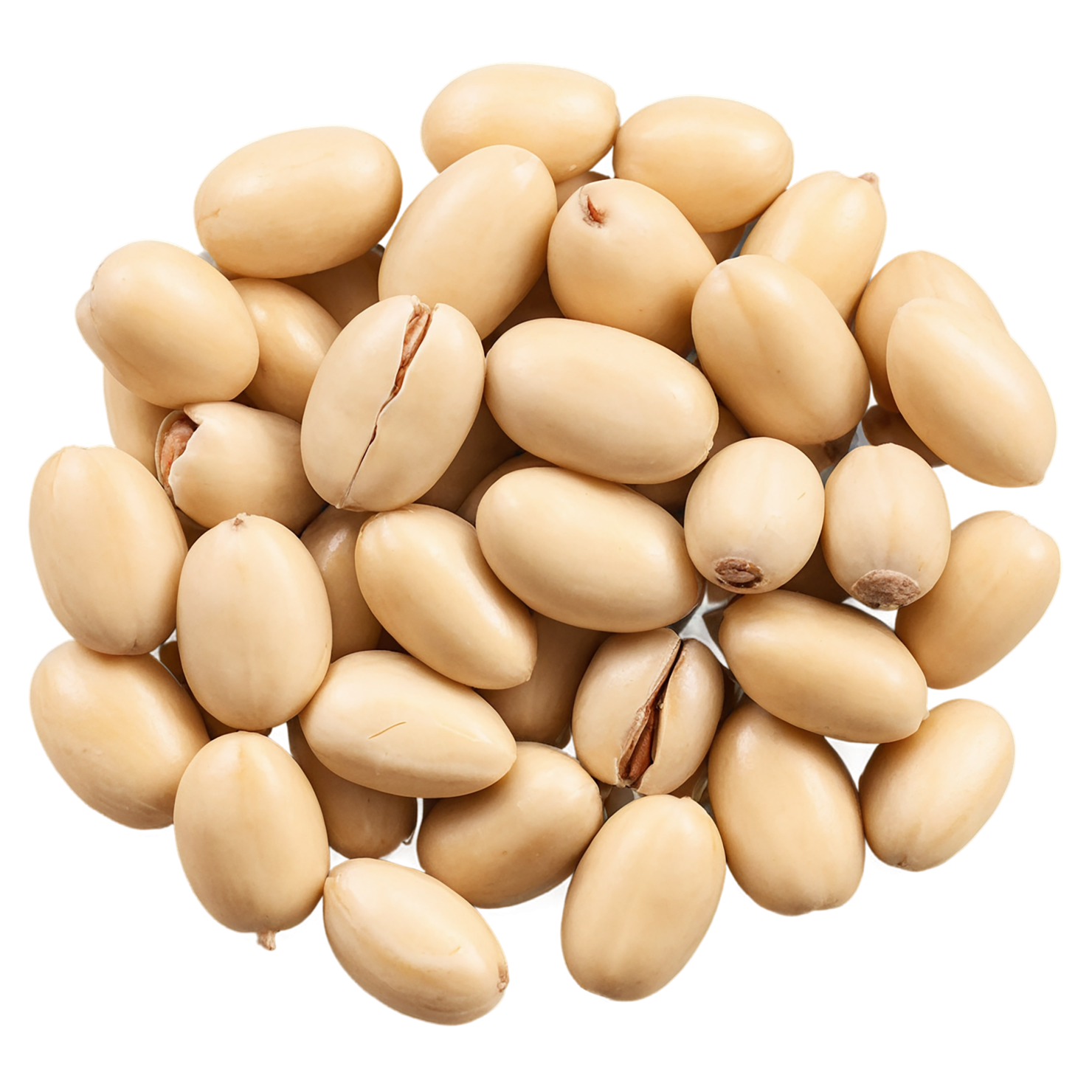 Pine nuts isolated on transparent background, #7561