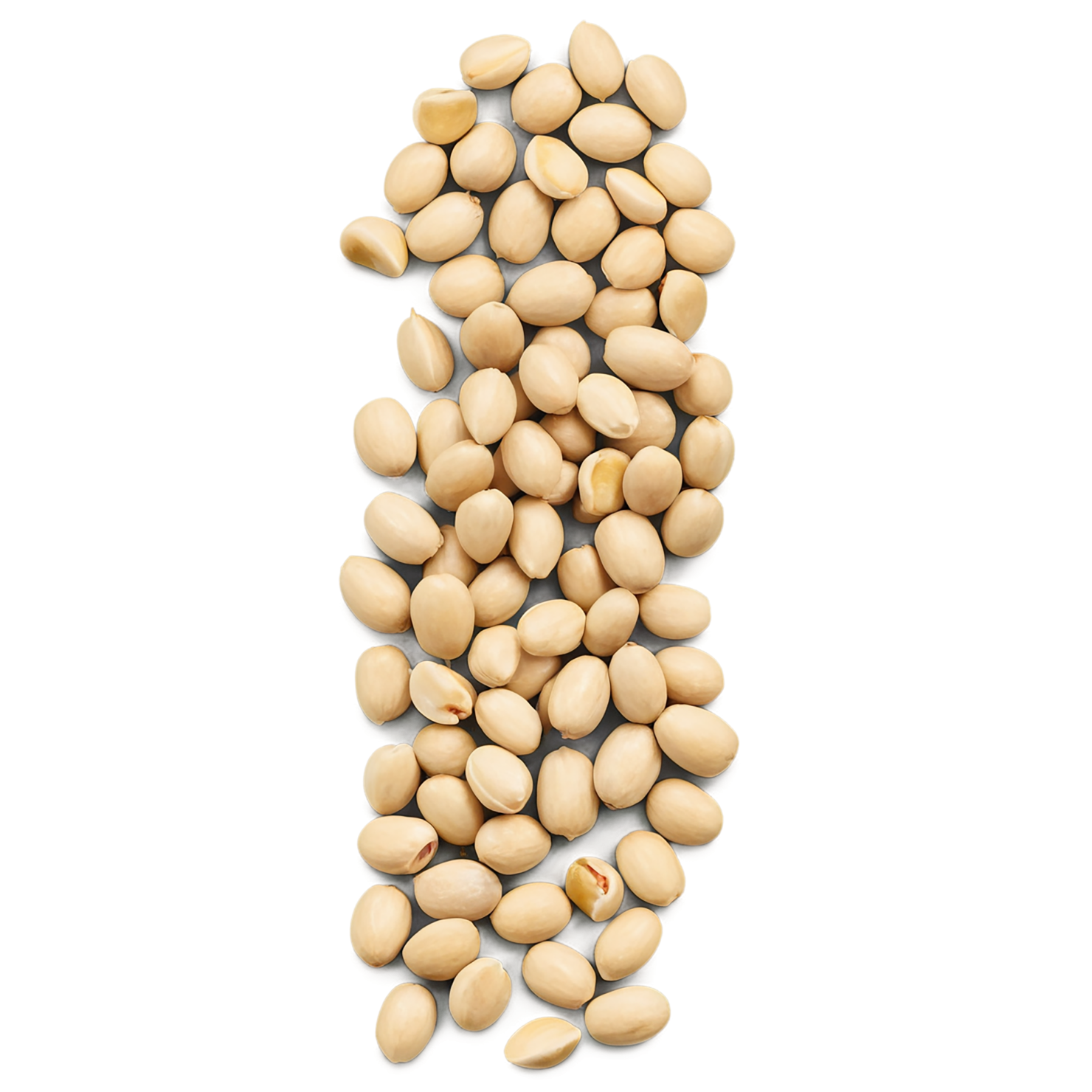 Pine nuts isolated on transparent background, #7562
