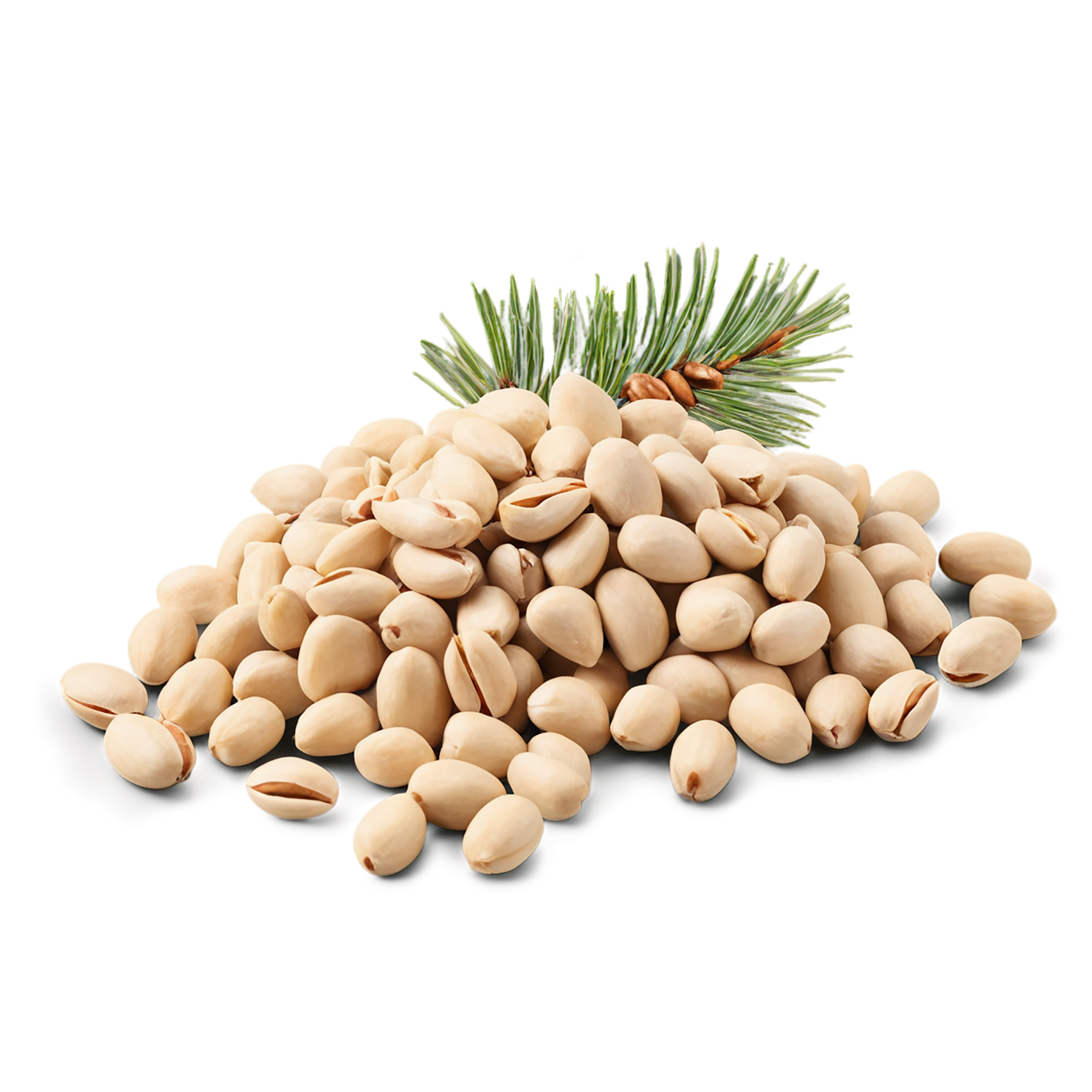 Pine nuts isolated on transparent background, #7563