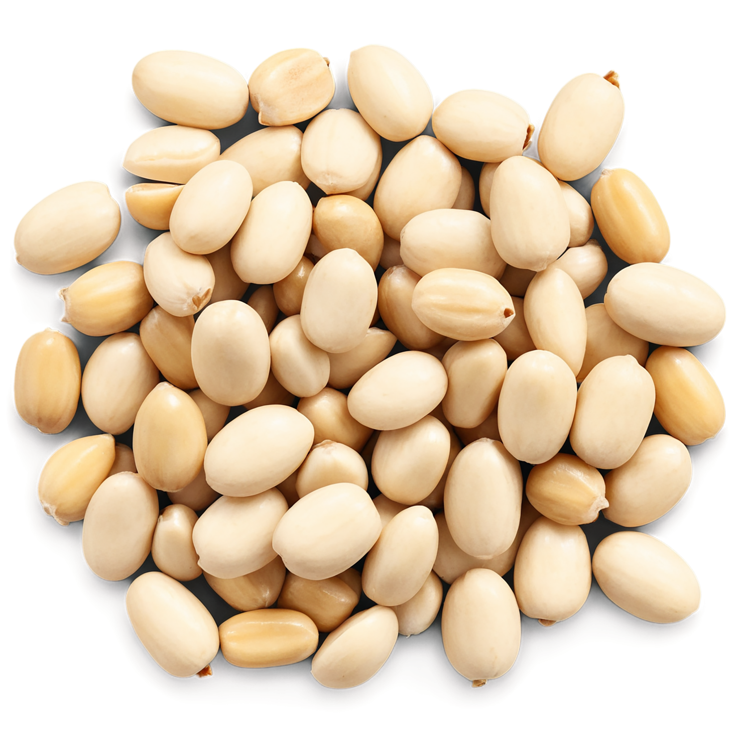 Pine nuts isolated on transparent background, #7564