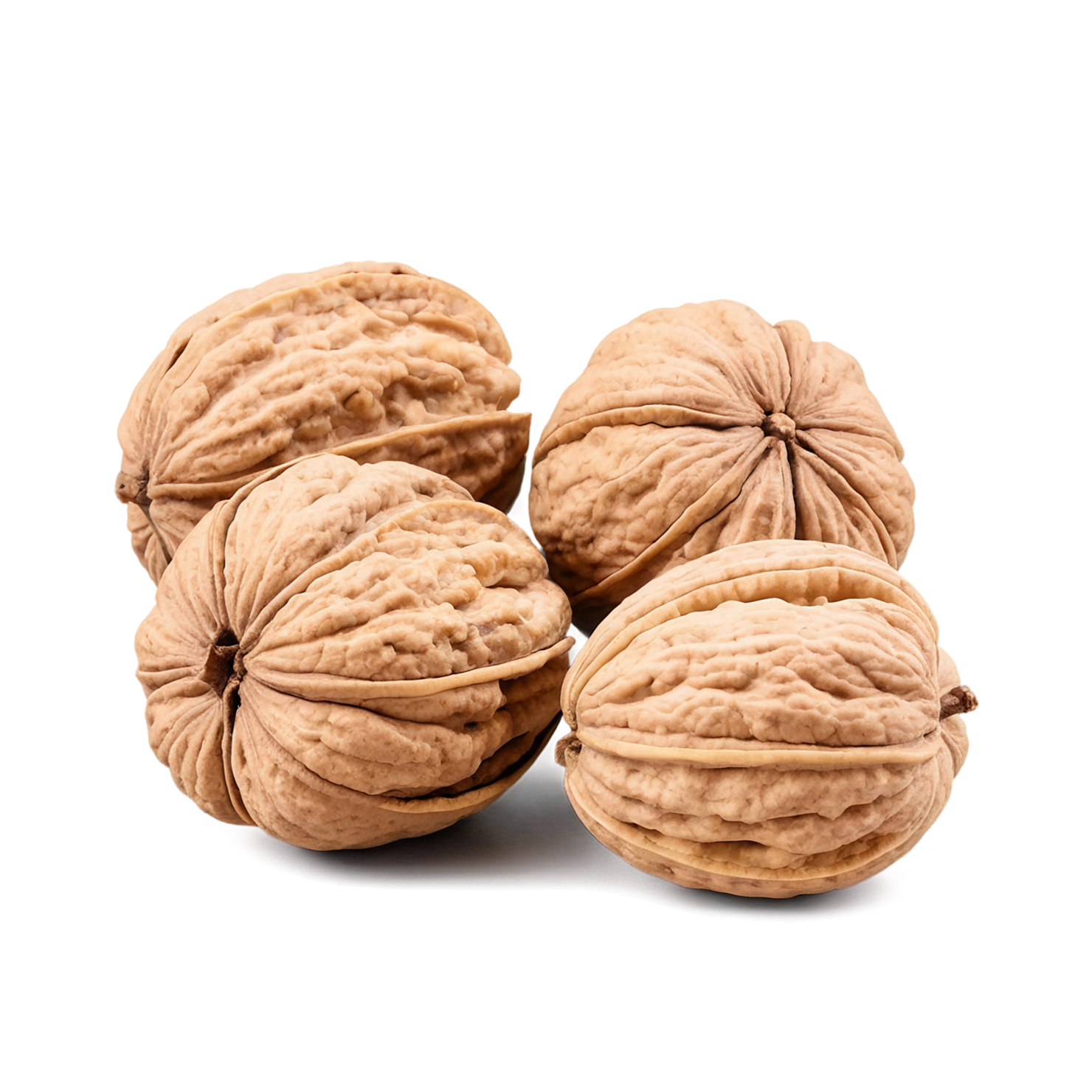 walnuts nuts isolated on transparent background, #7594