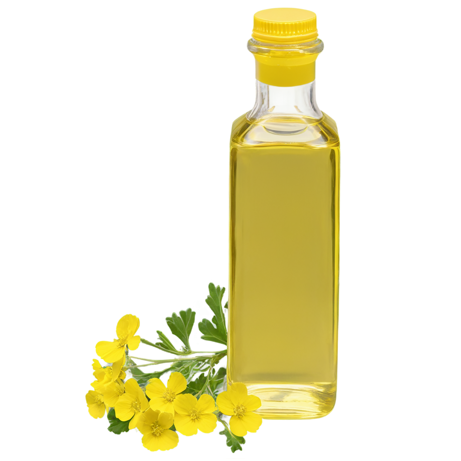 Canola oil isolated on transparent background, #7632