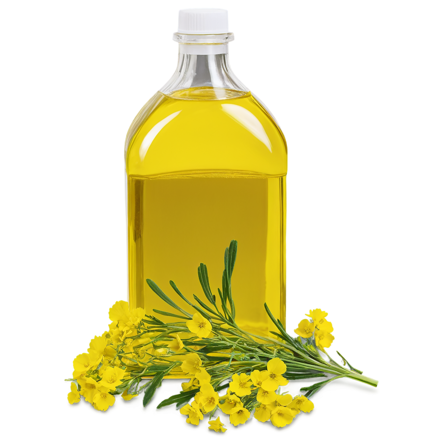 Canola oil isolated on transparent background, #7634