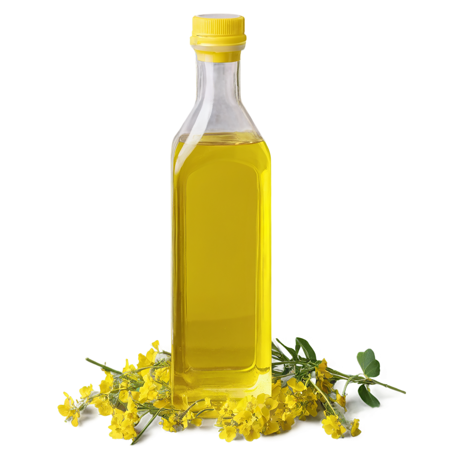 Canola oil isolated on transparent background, #7638
