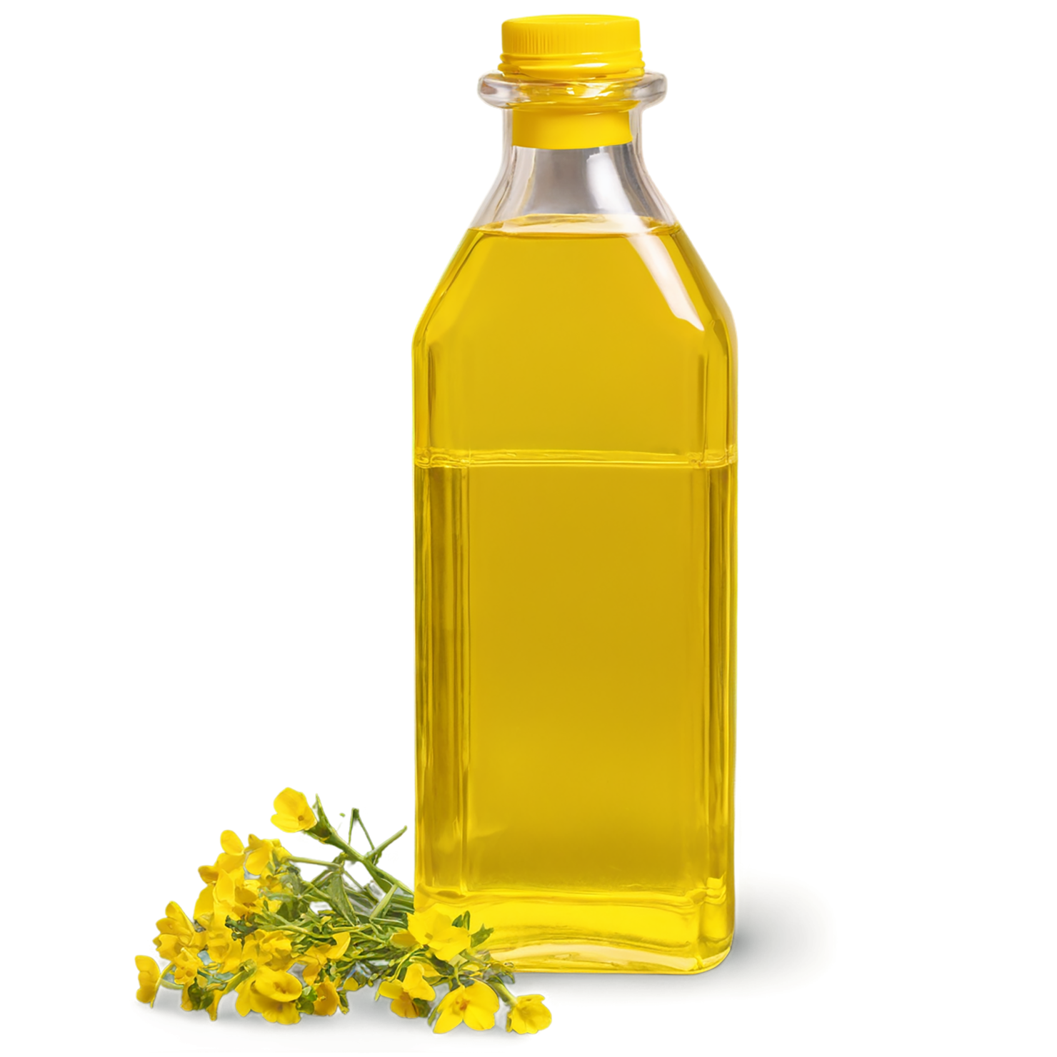 Canola oil isolated on transparent background, #7640