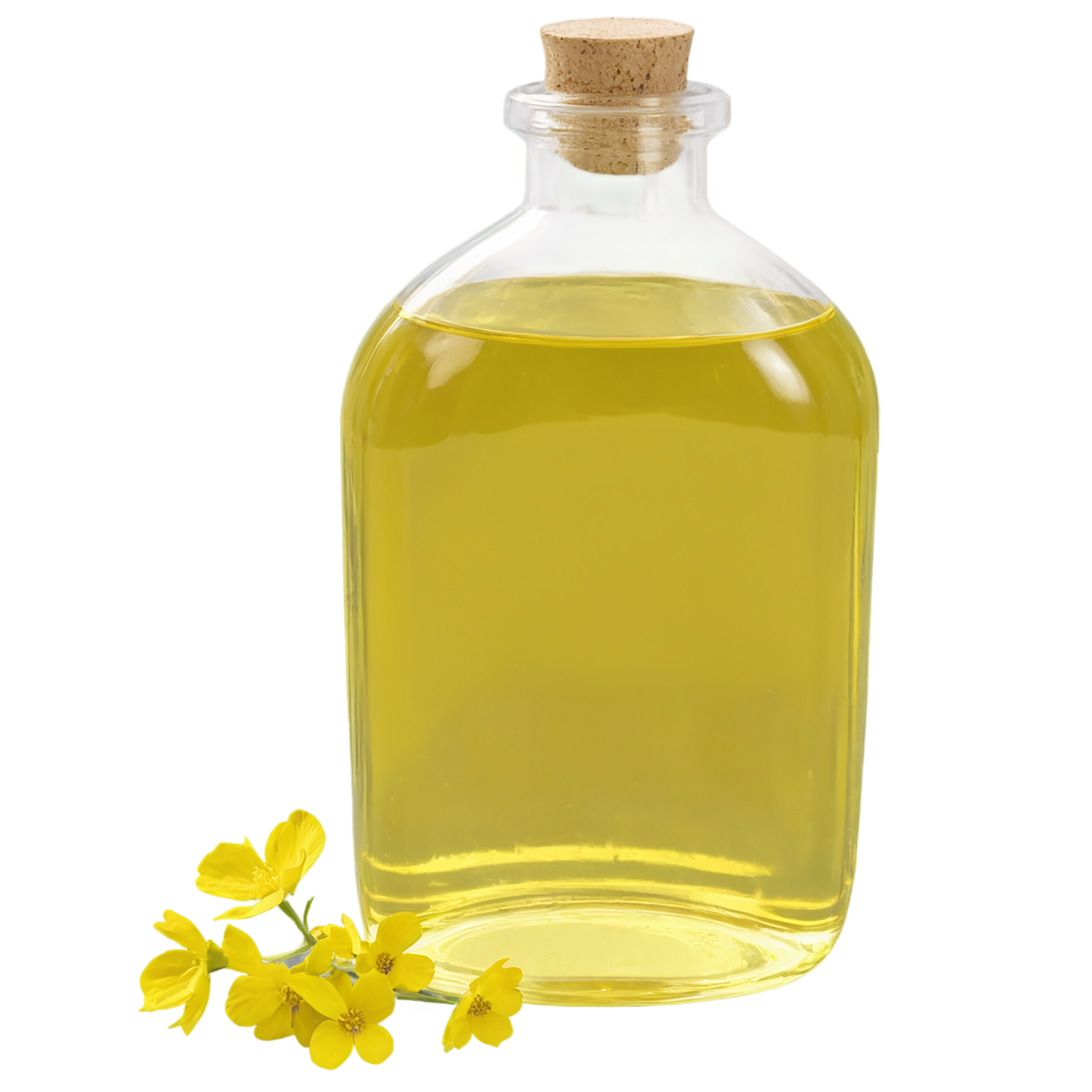 Canola oil isolated on transparent background, #7645