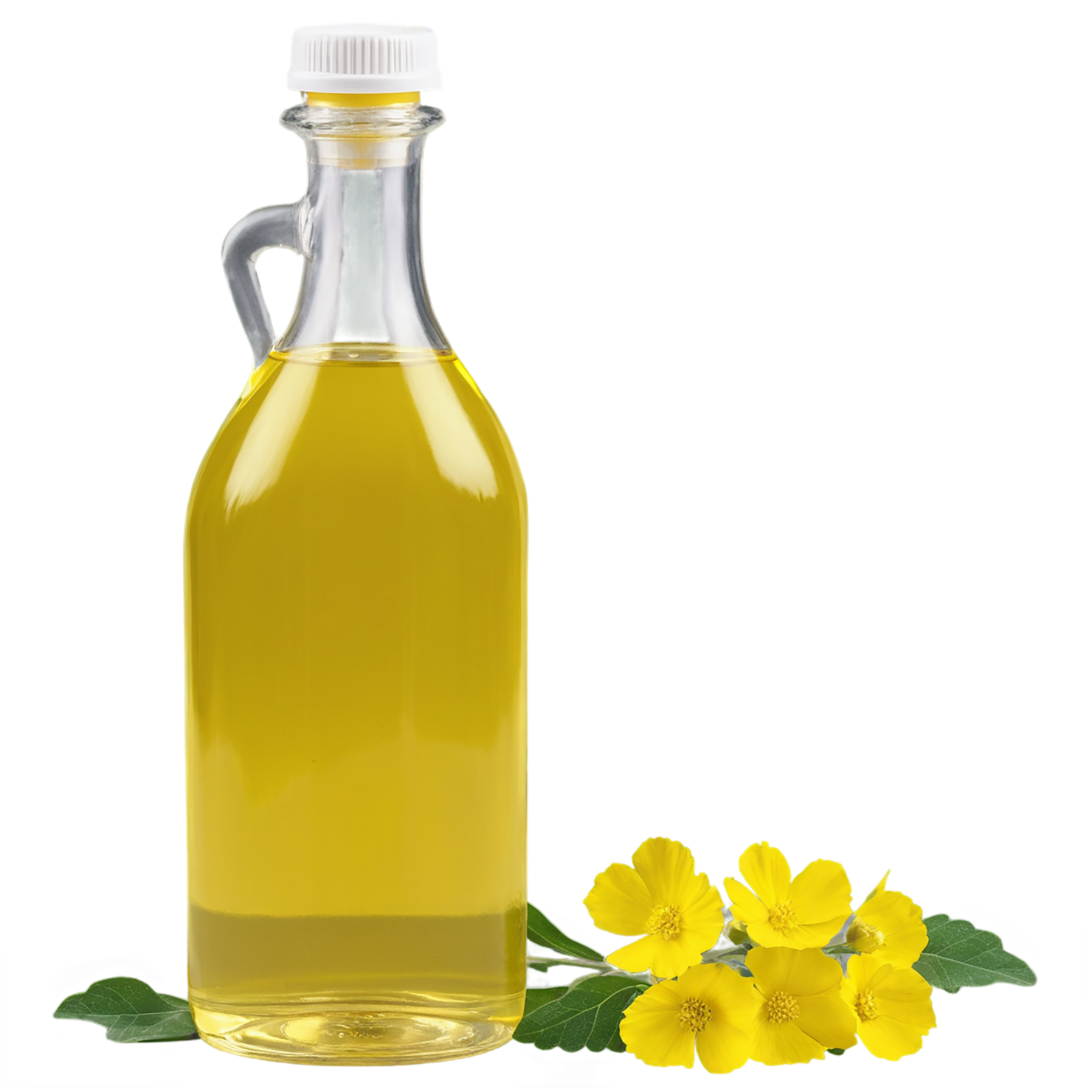 Canola oil isolated on transparent background, #7646