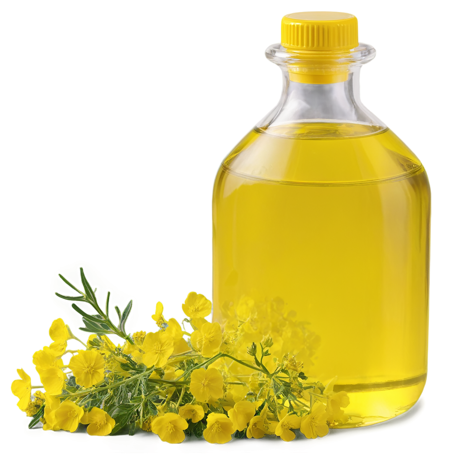 Canola oil isolated on transparent background, #7647