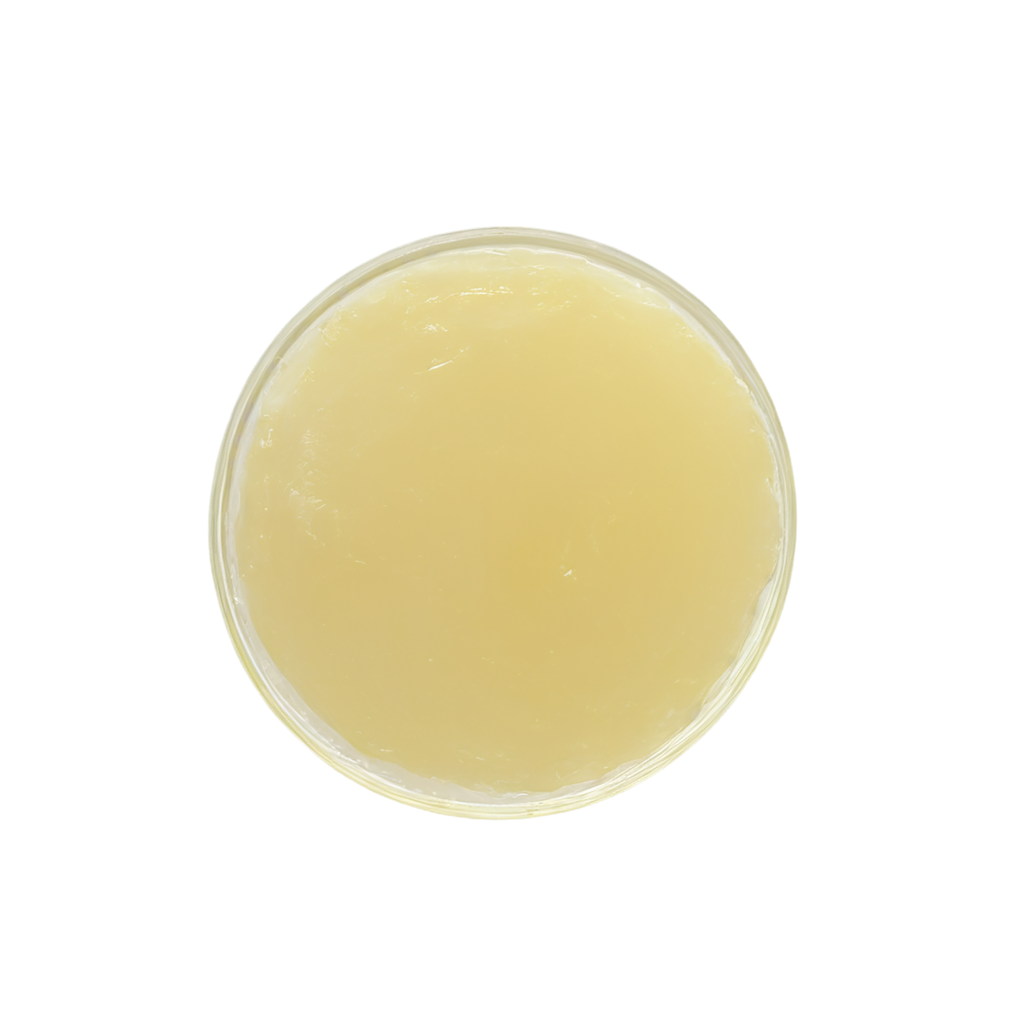 Duck fat isolated on transparent background, #7722